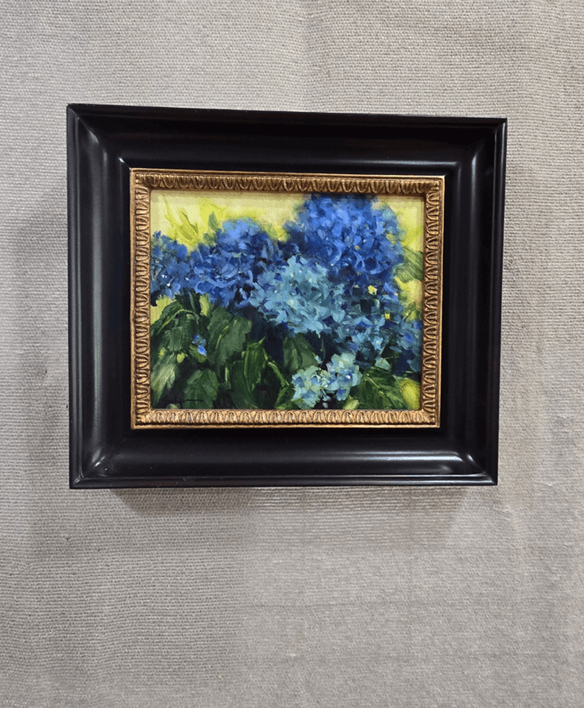 Blue Hydrangeas
