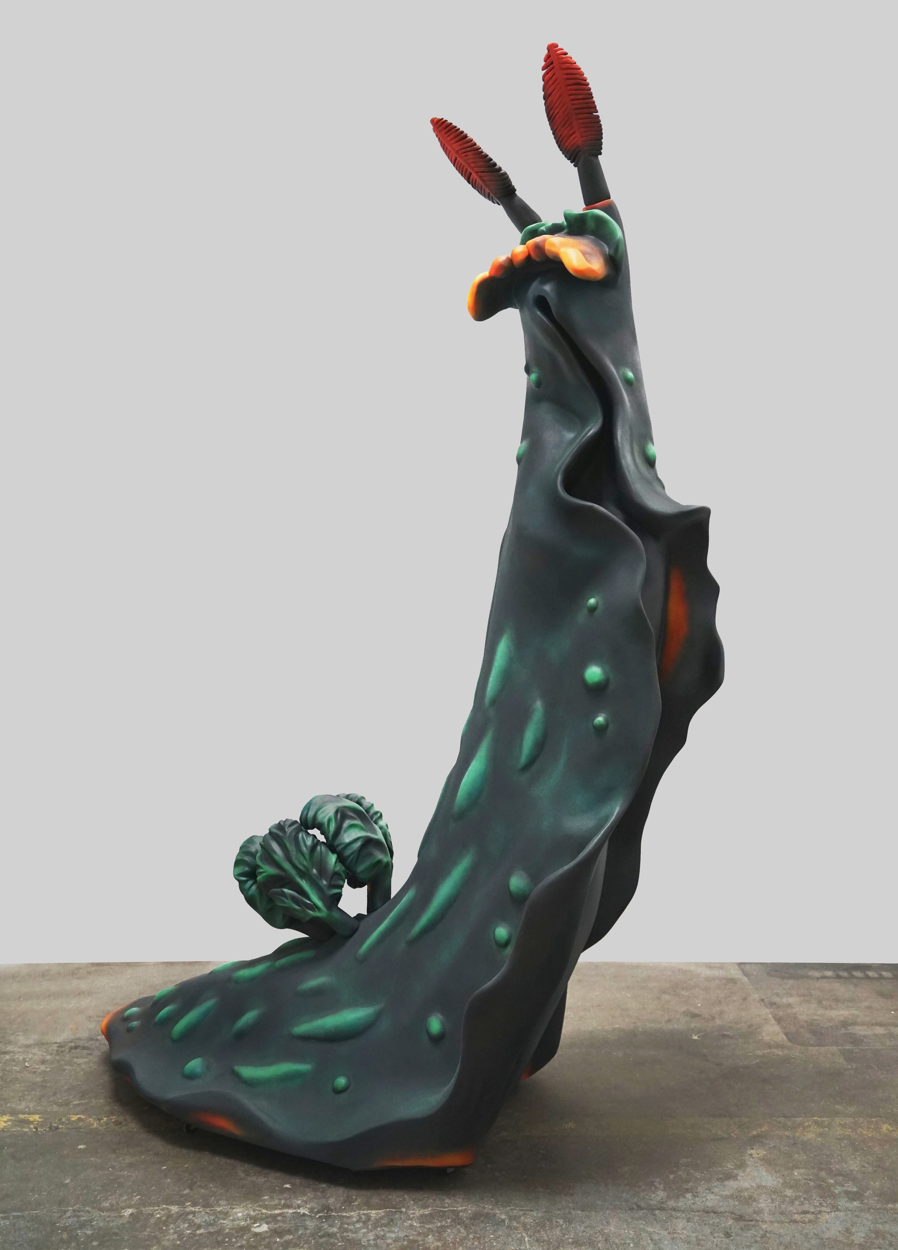 Nudibranch I