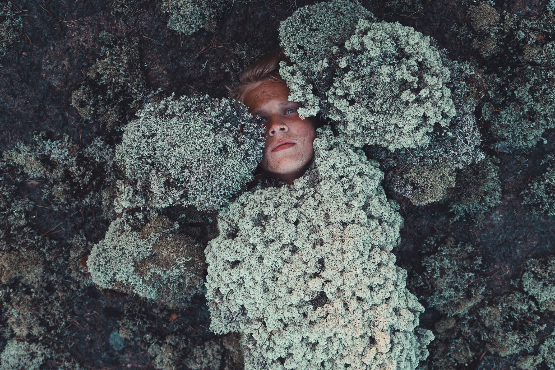 Covered by Forest by Svante Gullichsen, 2016