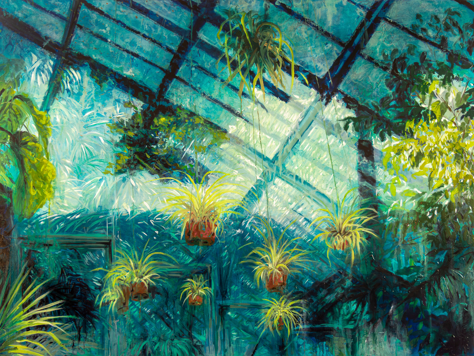 A vibrant greenhouse interior filled with hanging plants and lush greenery.