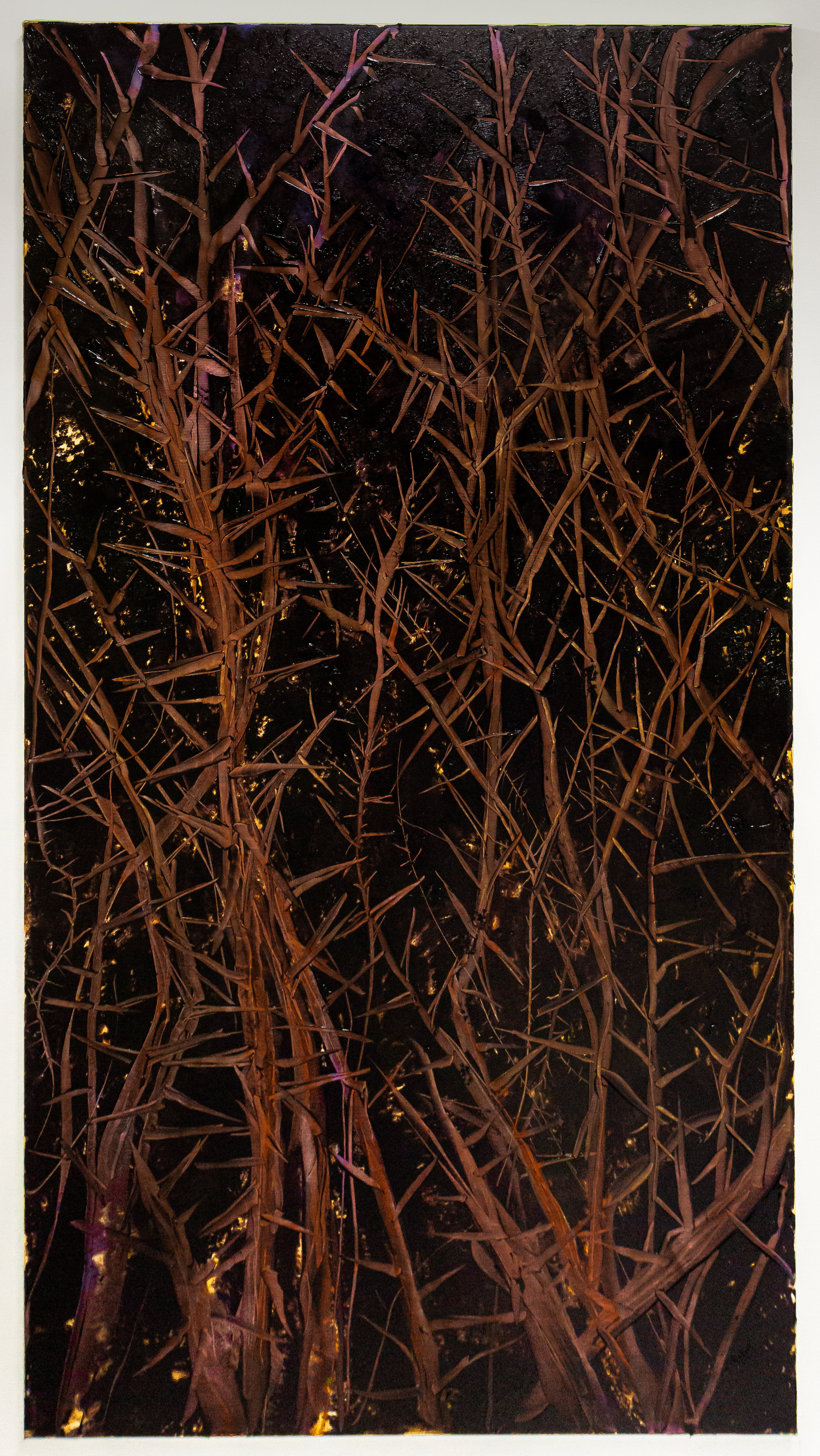 Her Words Were Thorns by Sylvia Trotter Ewens, 2024