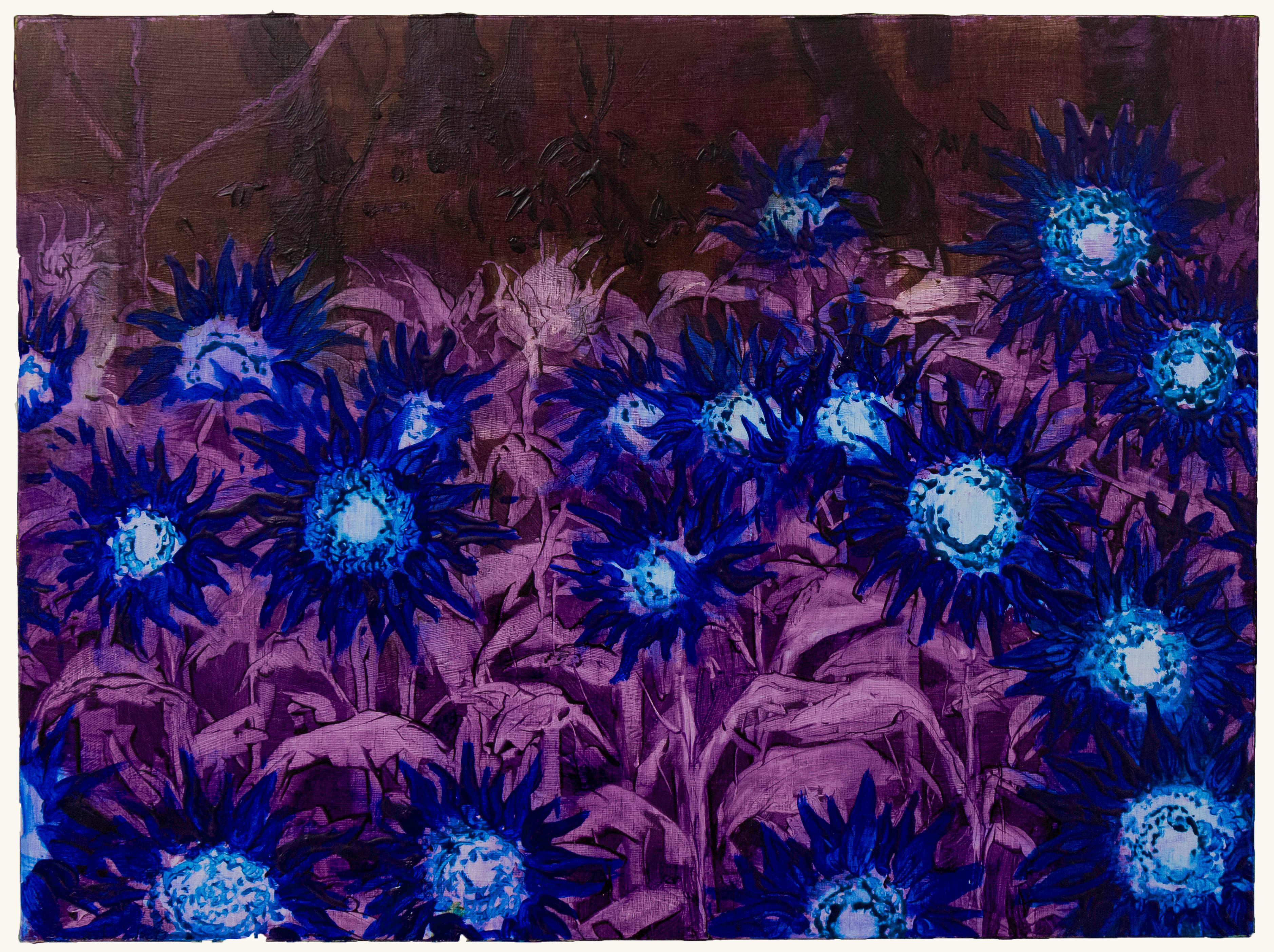 They Connive To Make Me Forget You by Sylvia Trotter Ewens, 2024