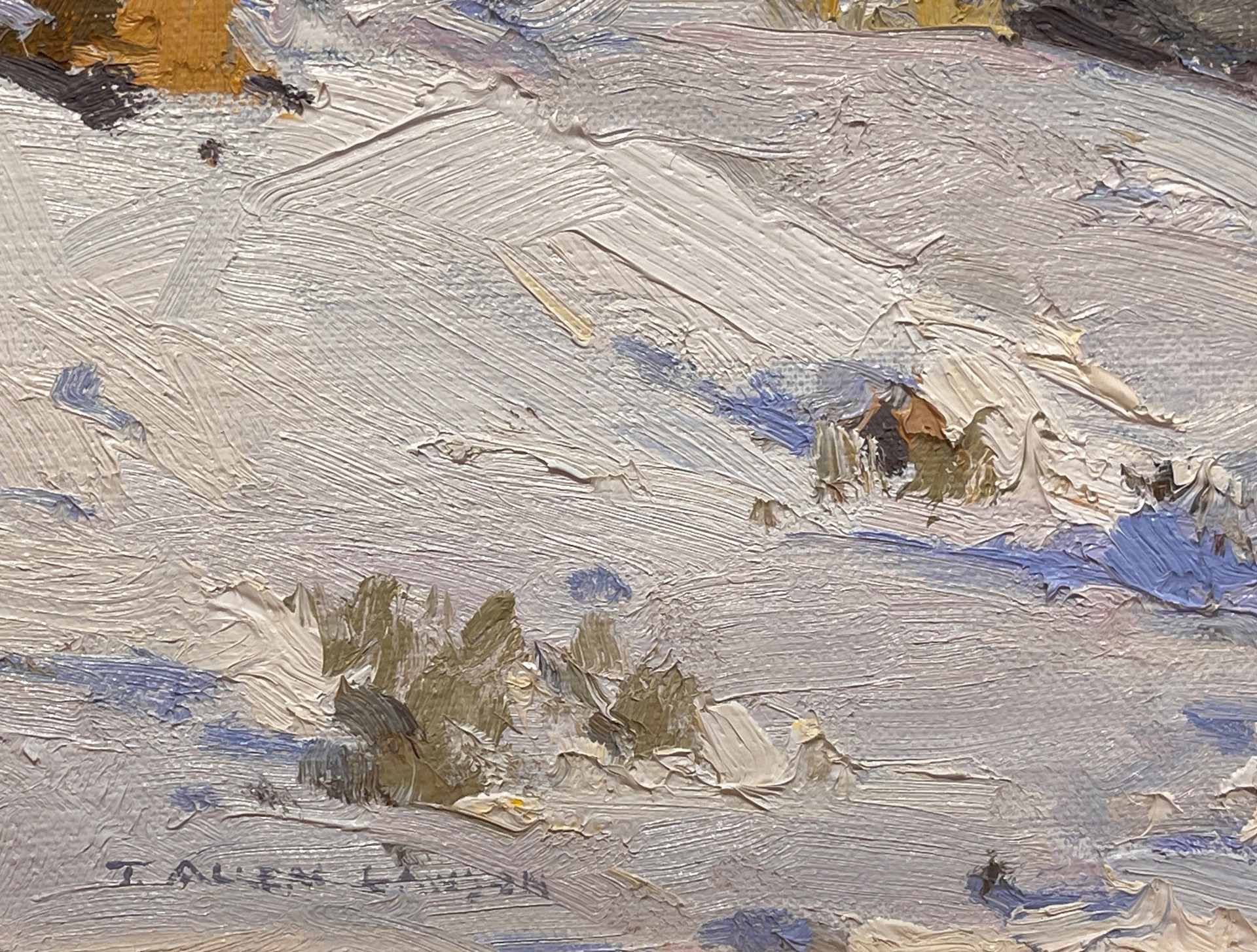 Winter Landscape