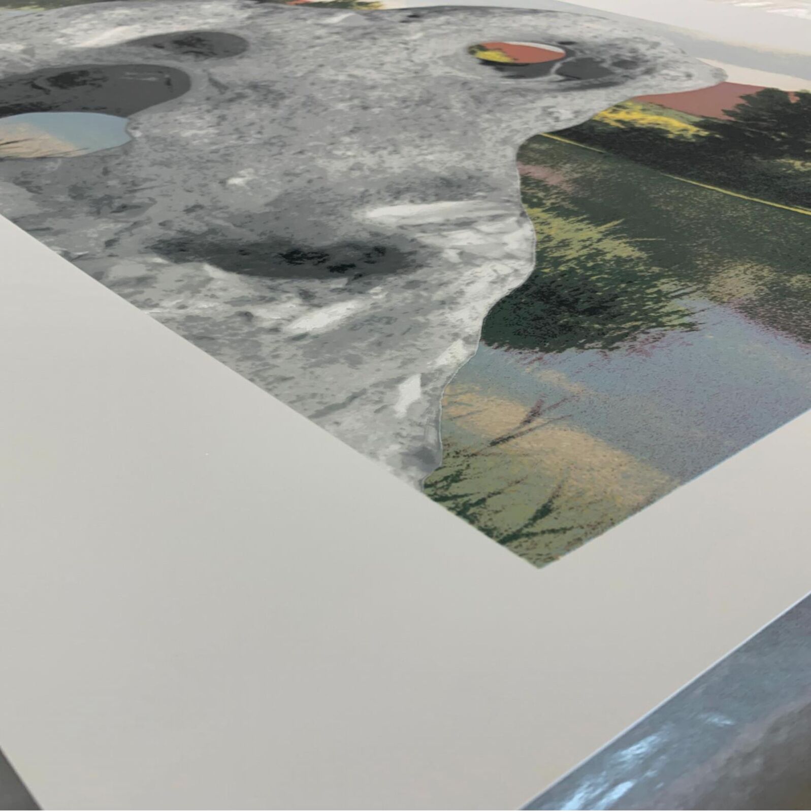 Artwork by Tacita Dean, An Organised Whole (Tate Modern 21 Years), Made of 23 Colour Screenprint with pearlescent inks on Somerset Radiant White Satin 410gsm 