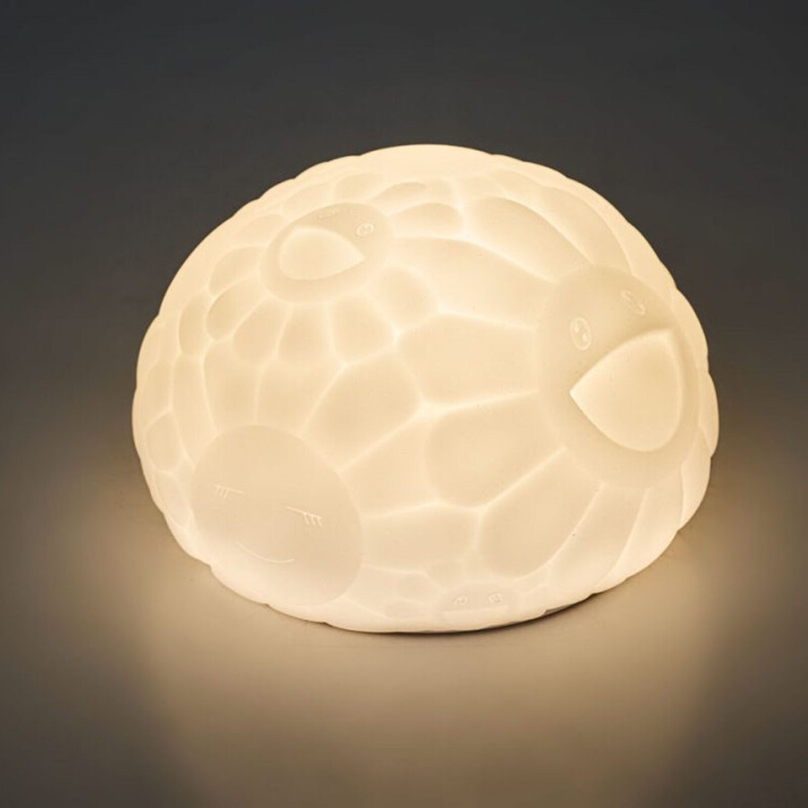 A white turtle shaped lamp on a black background.
