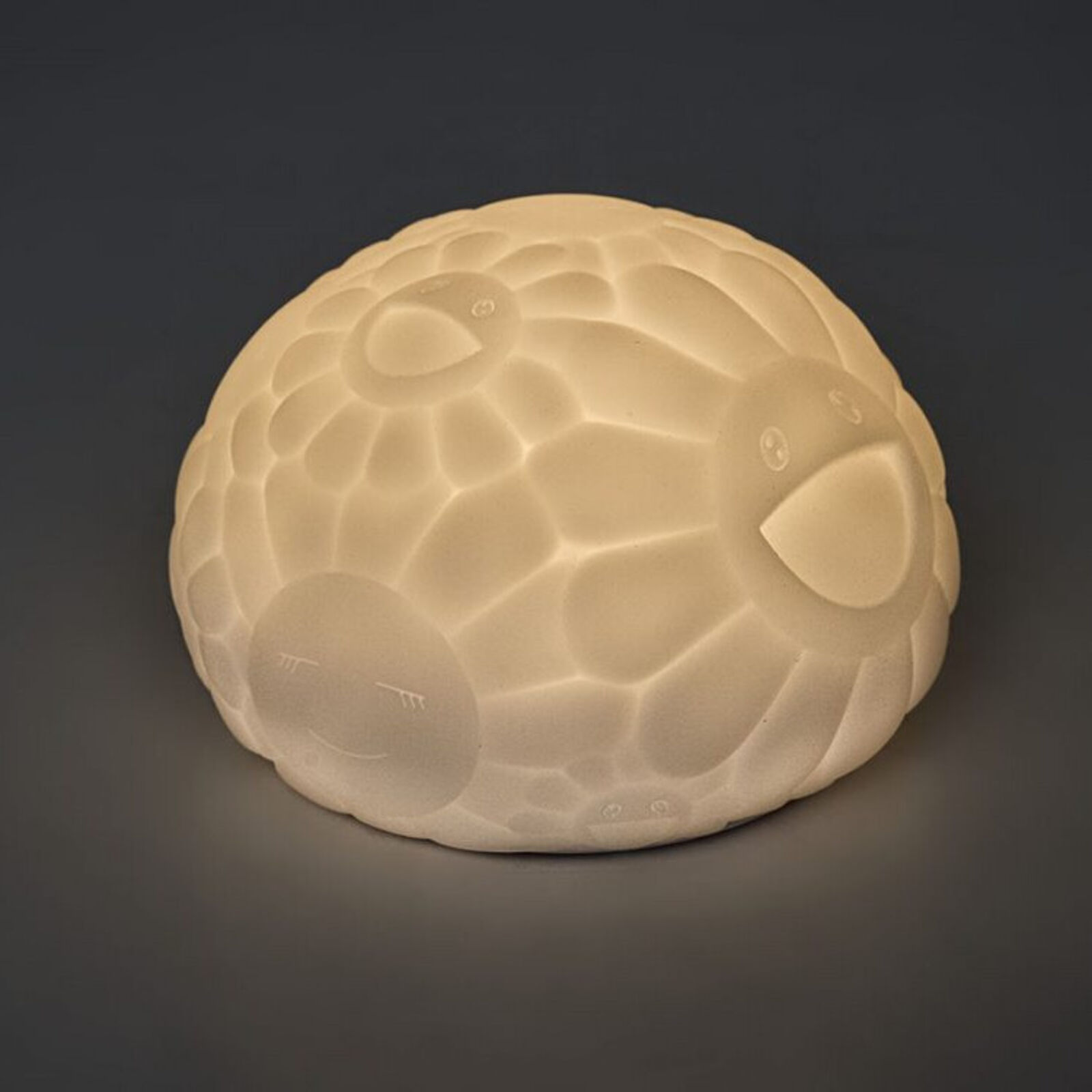 A white turtle shaped lamp on a black background.