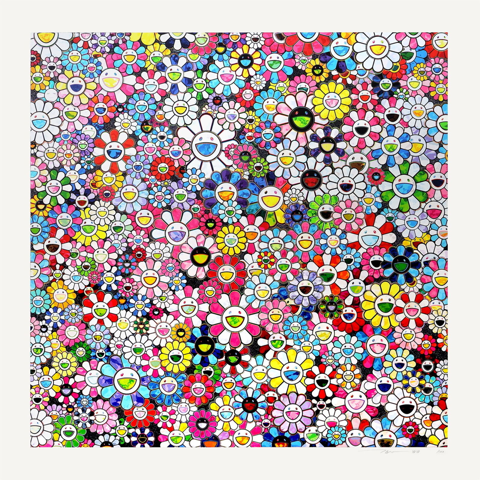 A large group of colorful flowers on a white background.