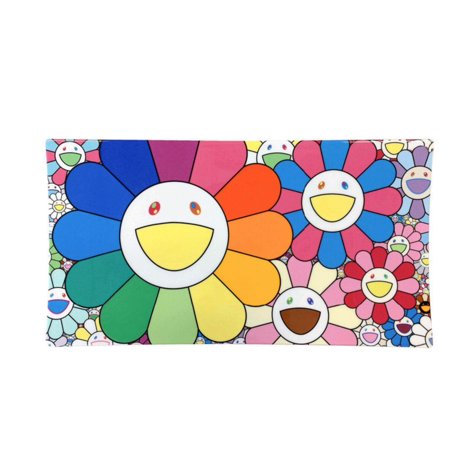 A picture of a colorful flower pattern on a white background.