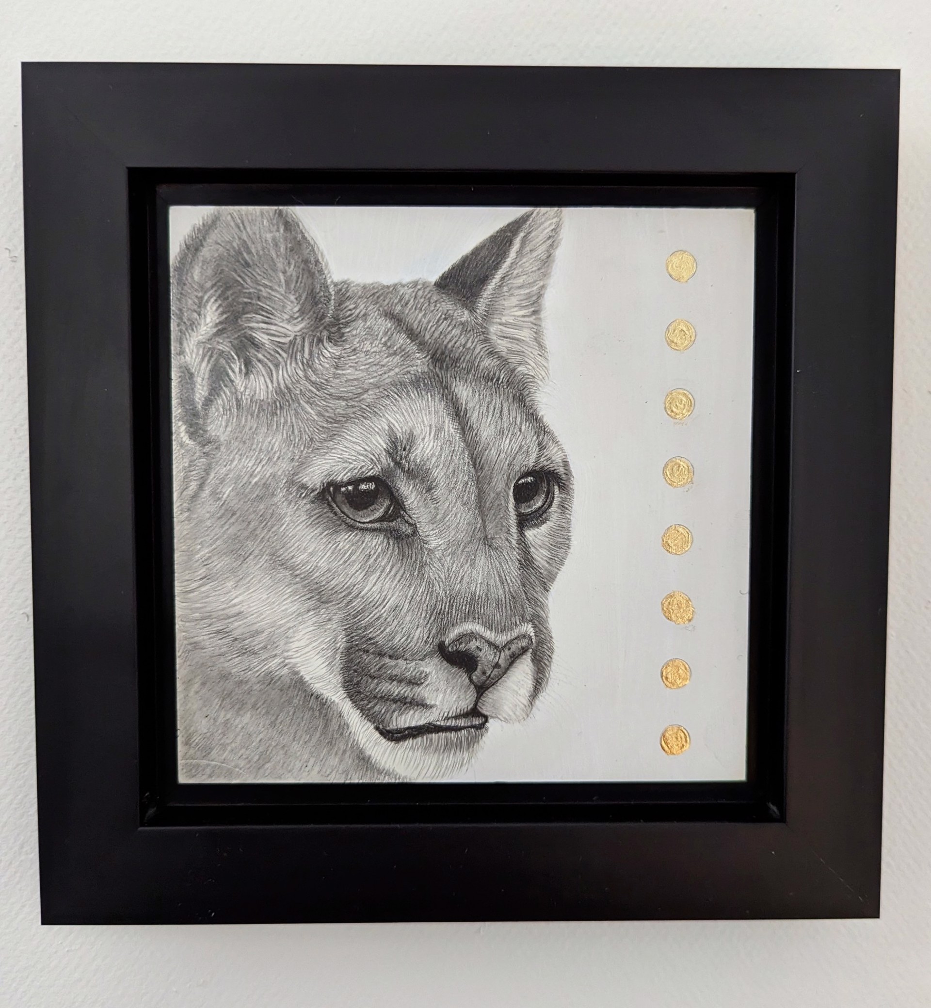 A drawing of a cougar's face on a piece of paper.