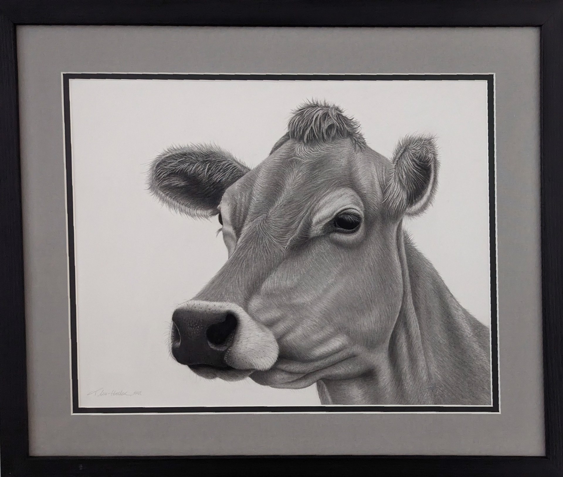 A hyper-realistic charcoal portrait of a cow's head framed in black.
