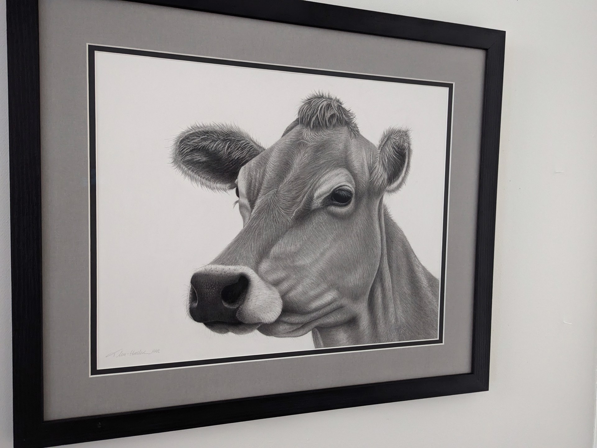 A hyper-realistic charcoal portrait of a cow's head framed in black.