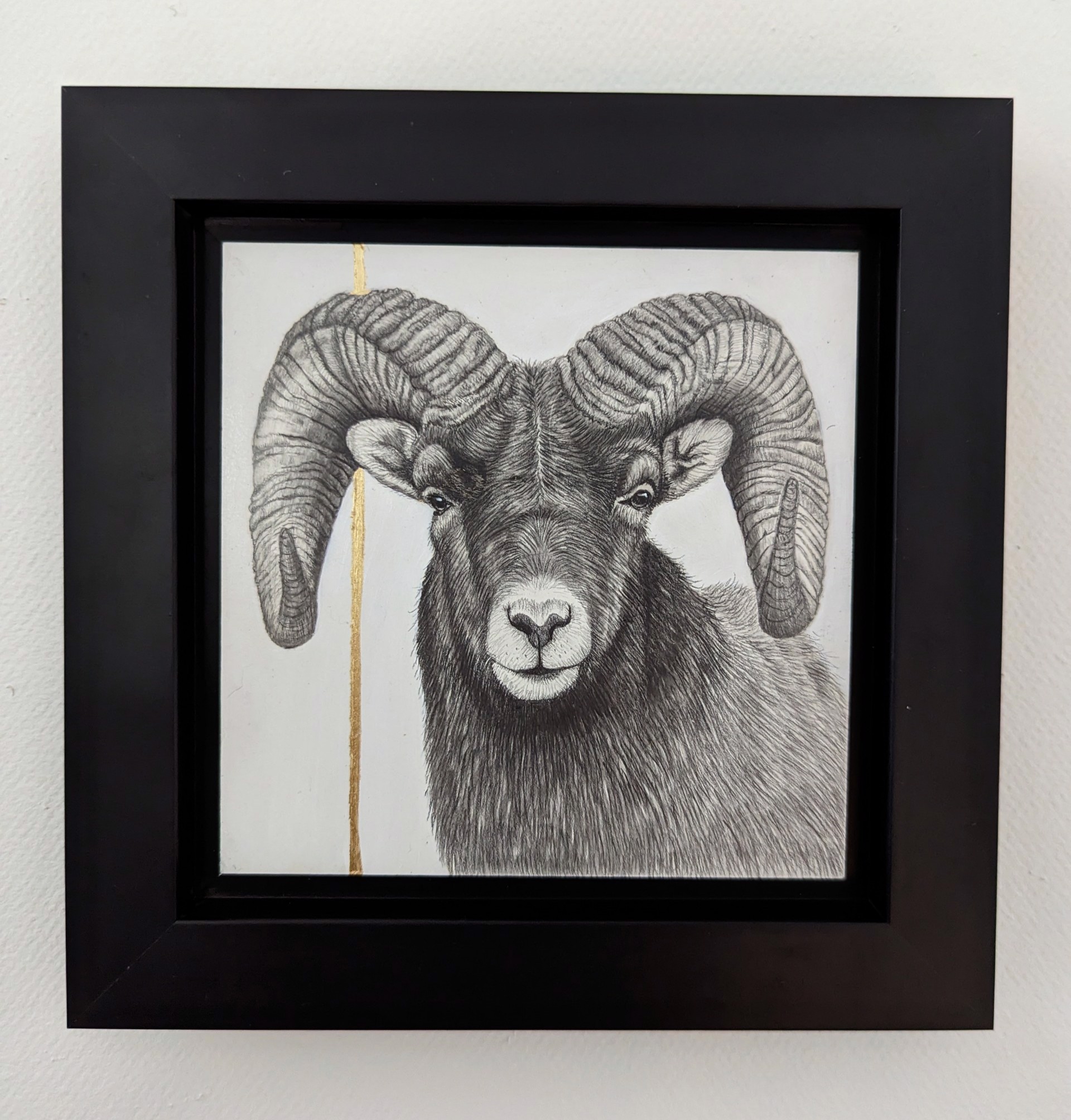 A drawing of a ram with large horns on a white background.