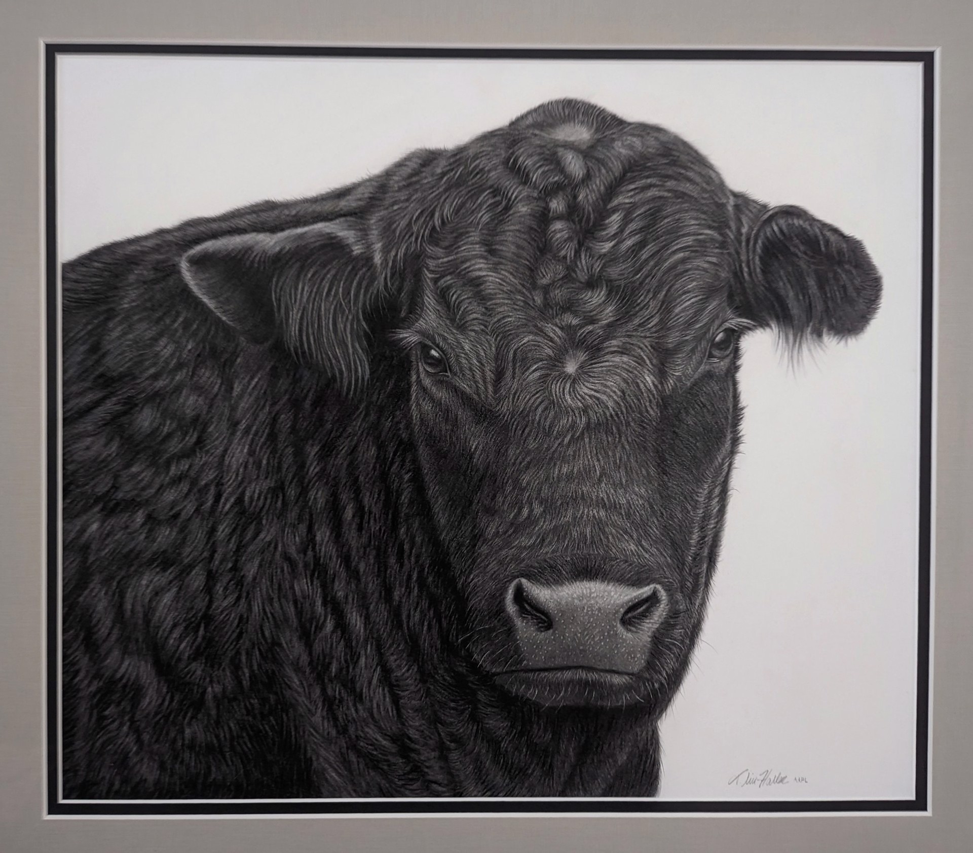 A hyper-realistic black-and-white portrait of a dark bovine subject rendered with meticulous texture and depth.