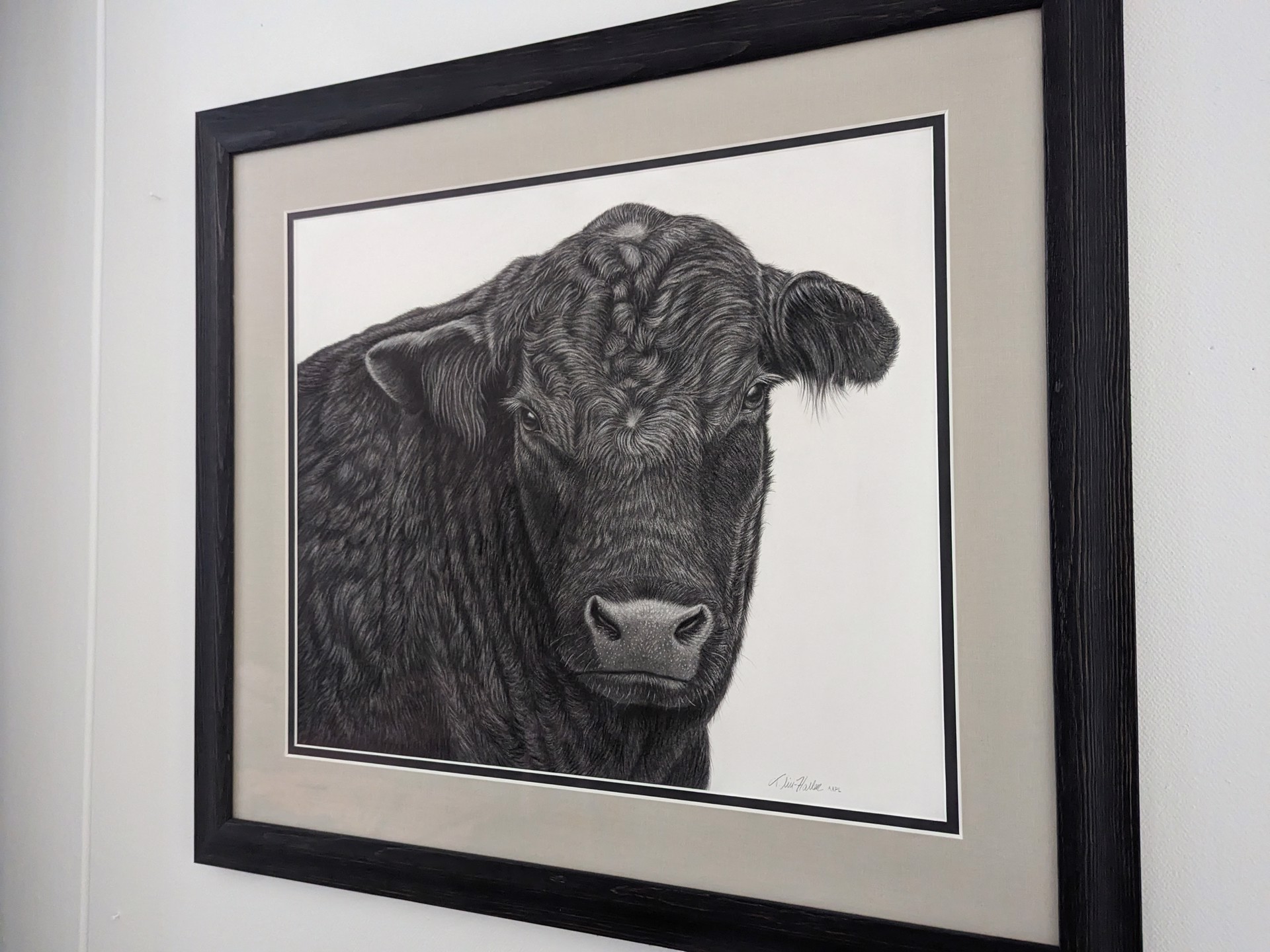 A hyper-realistic black-and-white portrait of a dark bovine subject rendered with meticulous texture and depth.