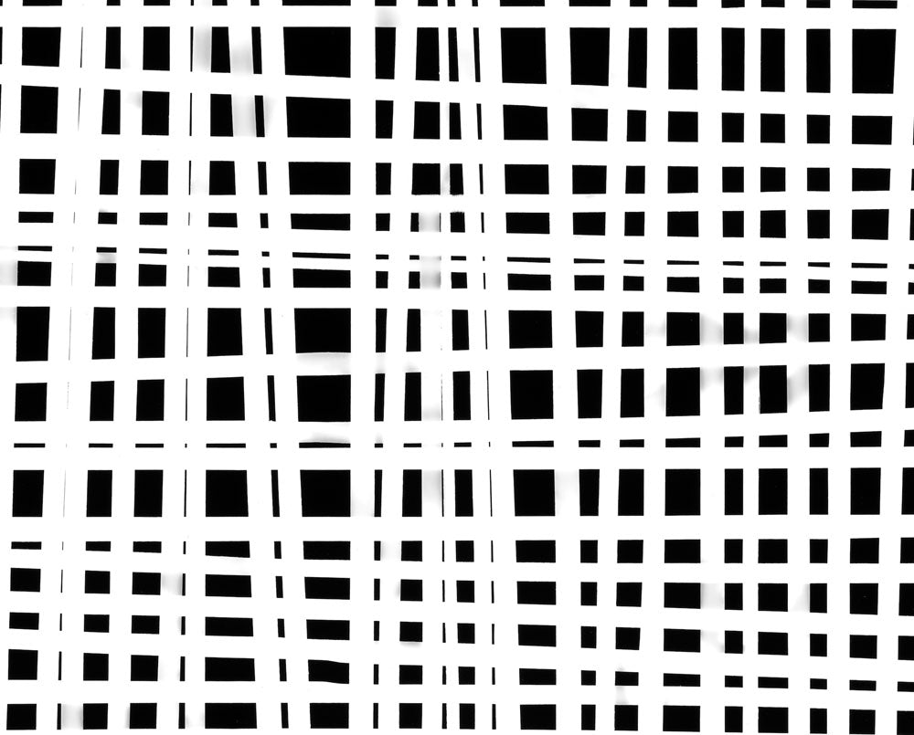 Artwork by Tenesh Webber, Passing Through 1, Made of Silver Gelatin Print 
