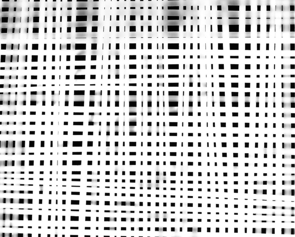 Artwork by Tenesh Webber, Passing Through 2, Made of Silver Gelatin Print 