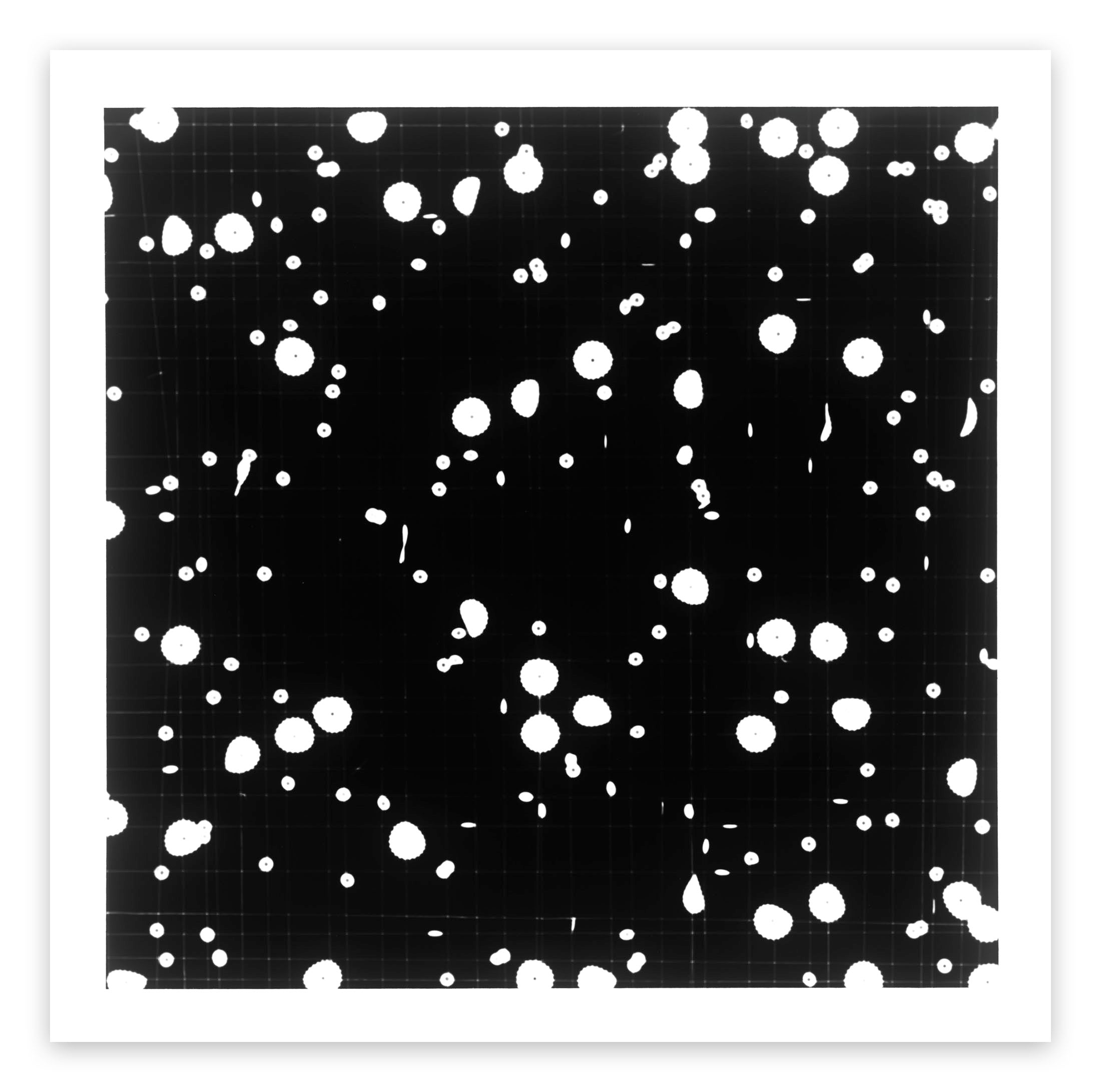 Radius by Tenesh Webber, 2021