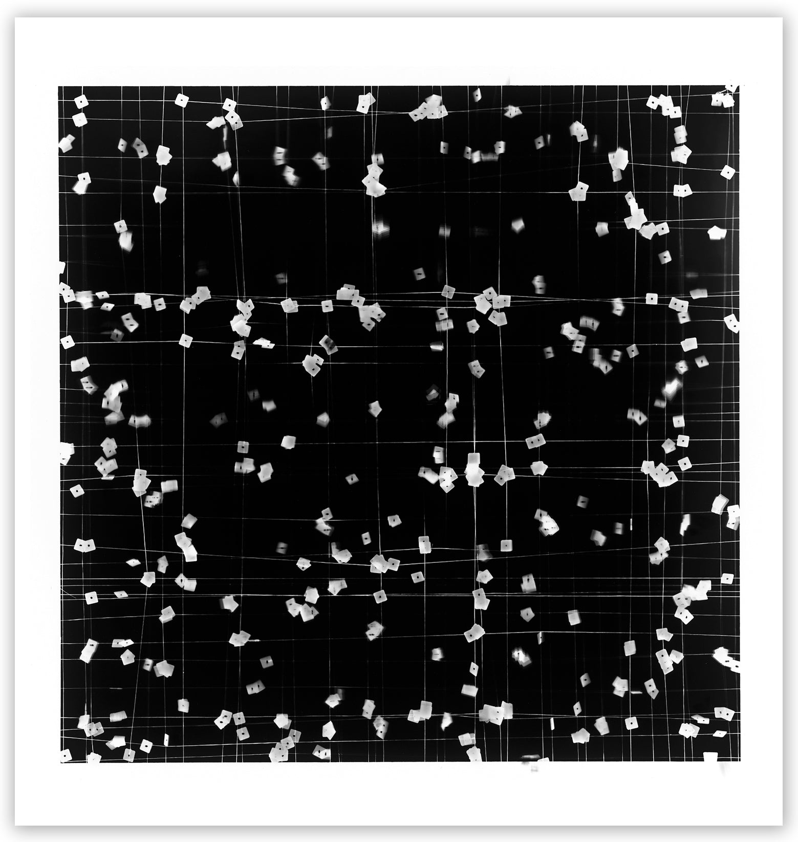 To and Fro 2 by Tenesh Webber, 2021