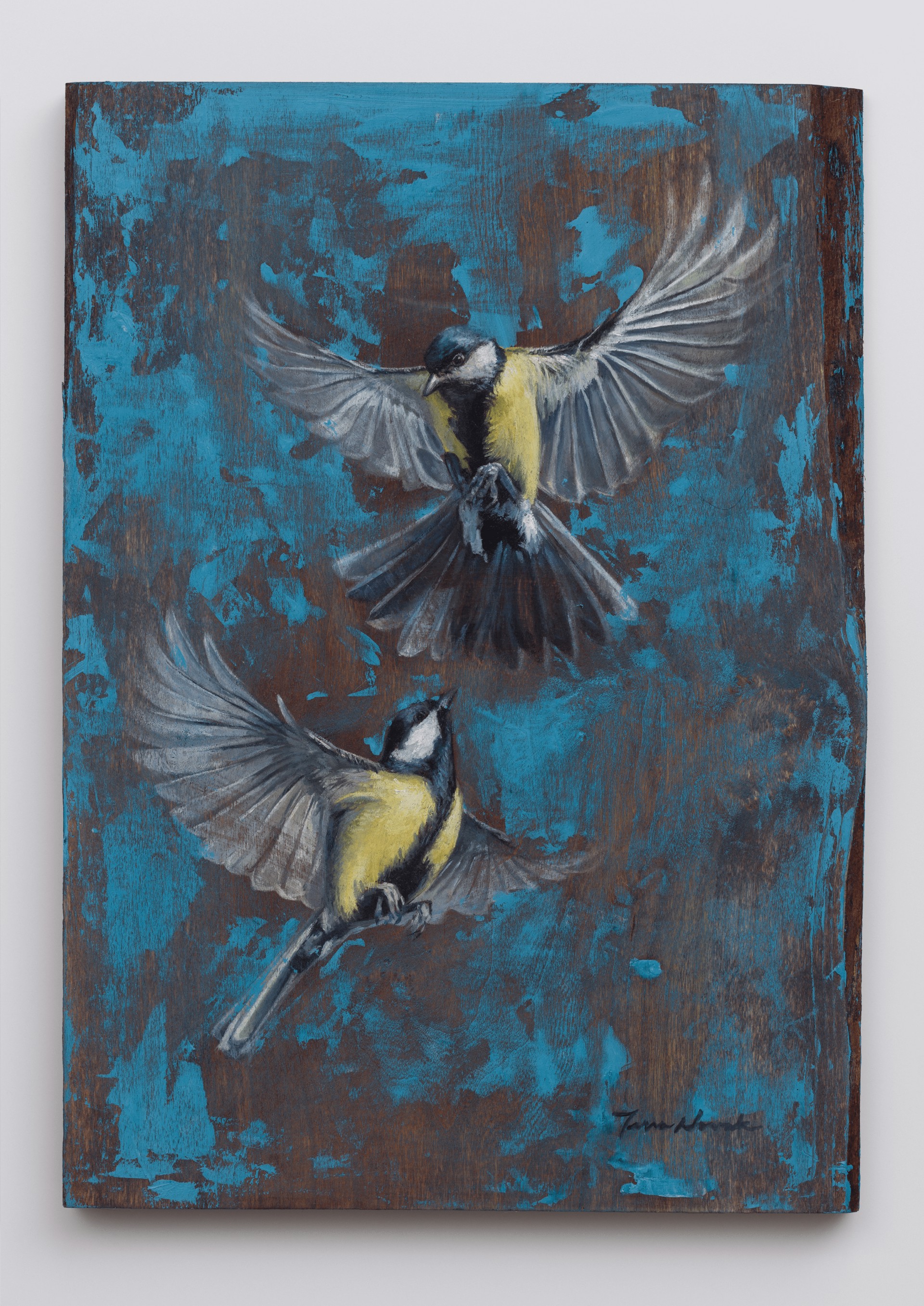 Birds in Flight by Terra Novak, 2025