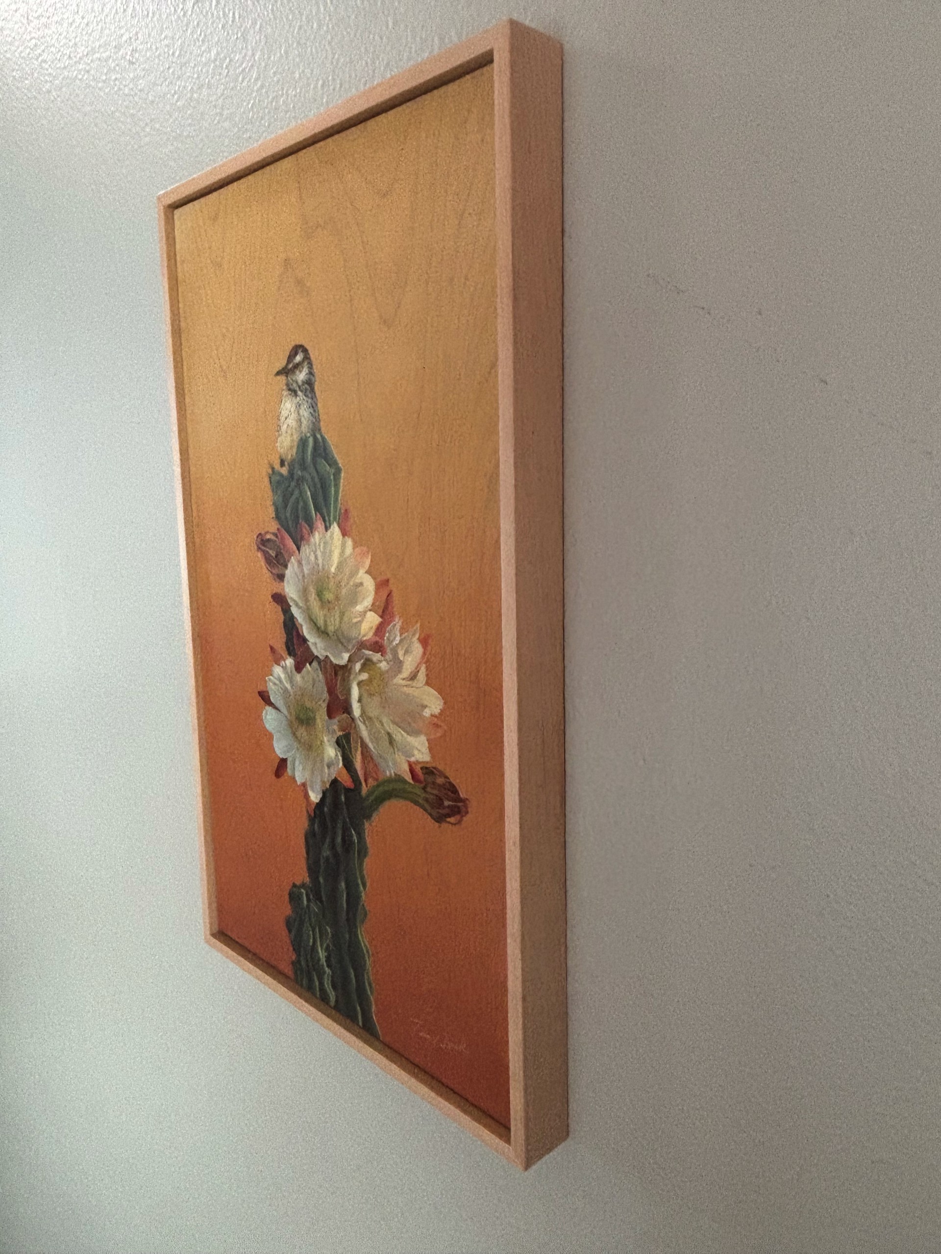 Cactus Wren and Desert Bloom