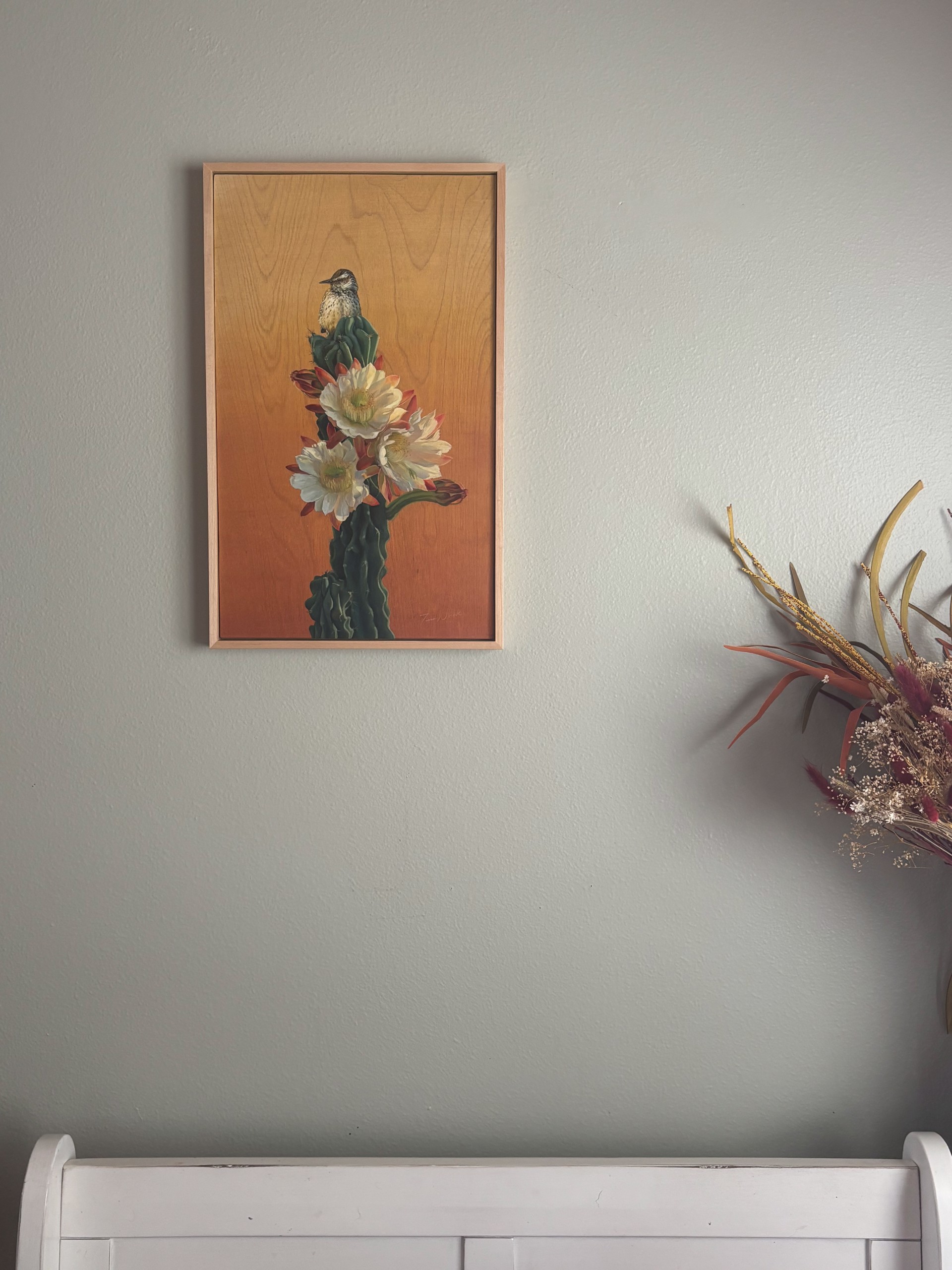 Cactus Wren and Desert Bloom