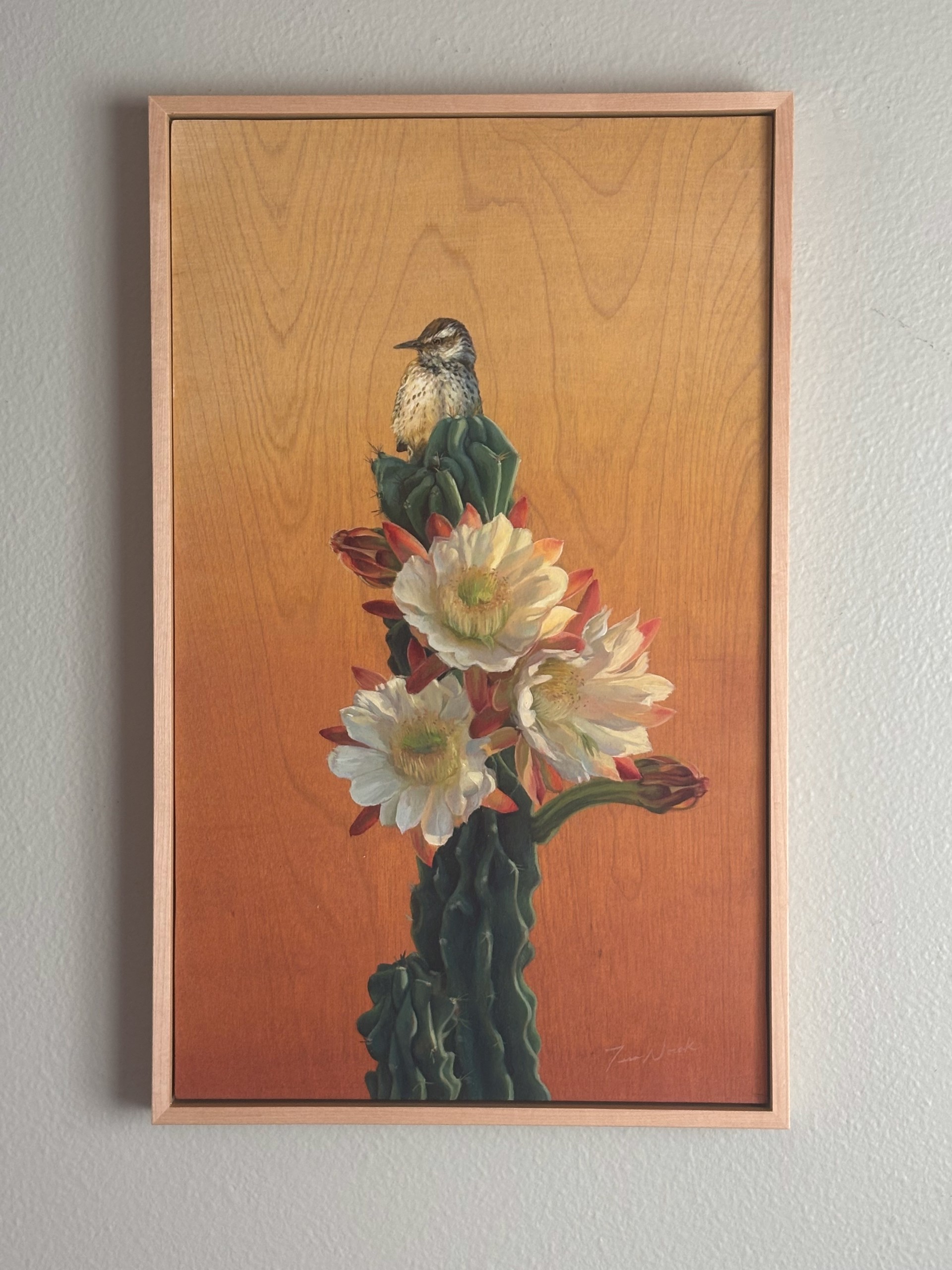 Cactus Wren and Desert Bloom