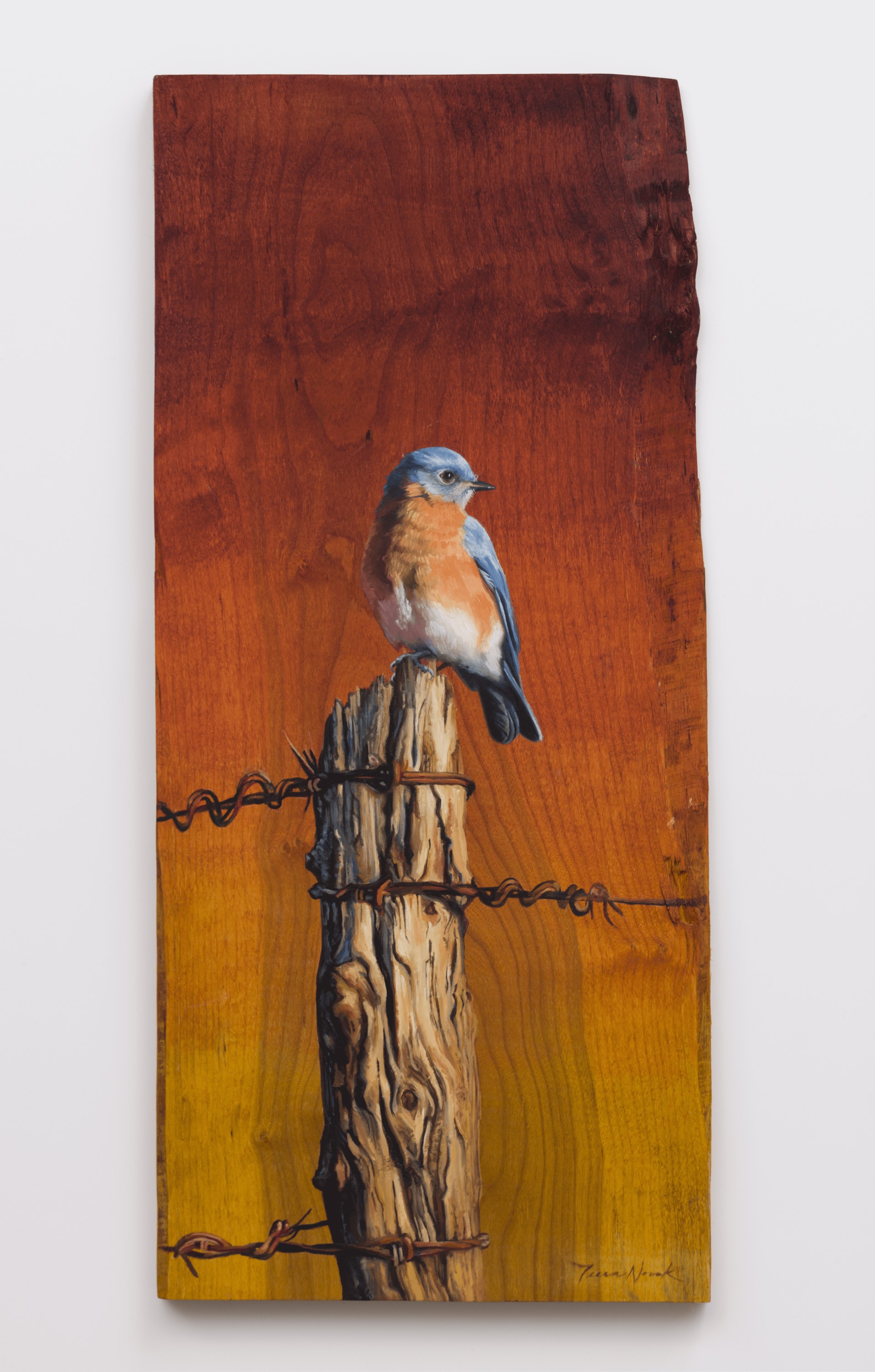 Evening Perch by Terra Novak, 2024