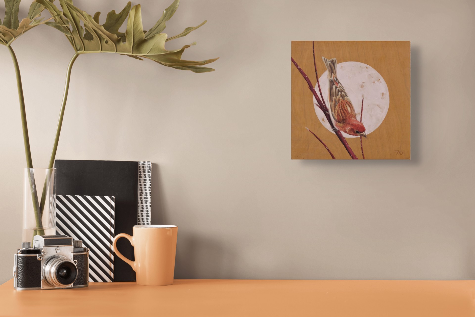 House Finch