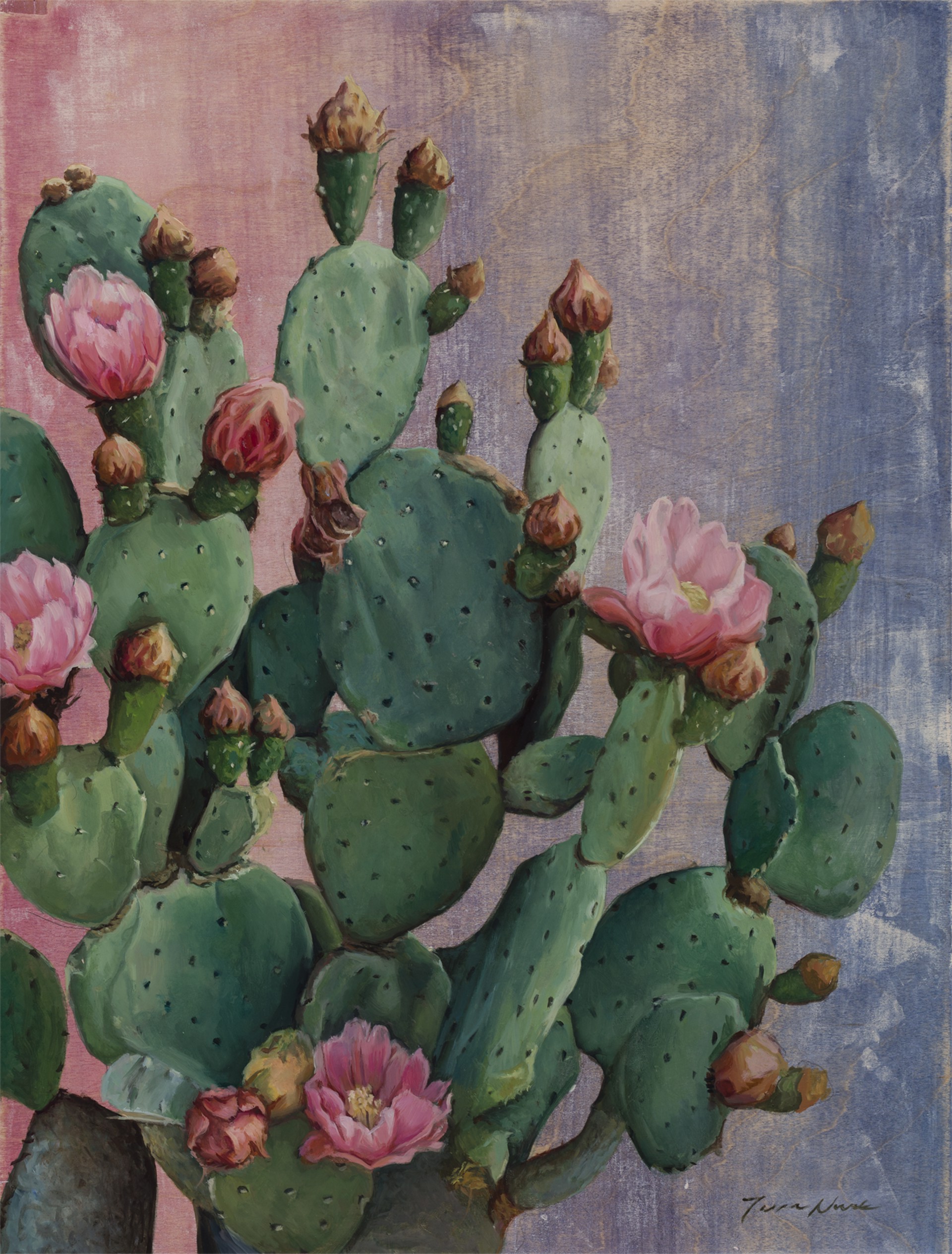 Prickly Pear in Flower by Terra Novak, 2025