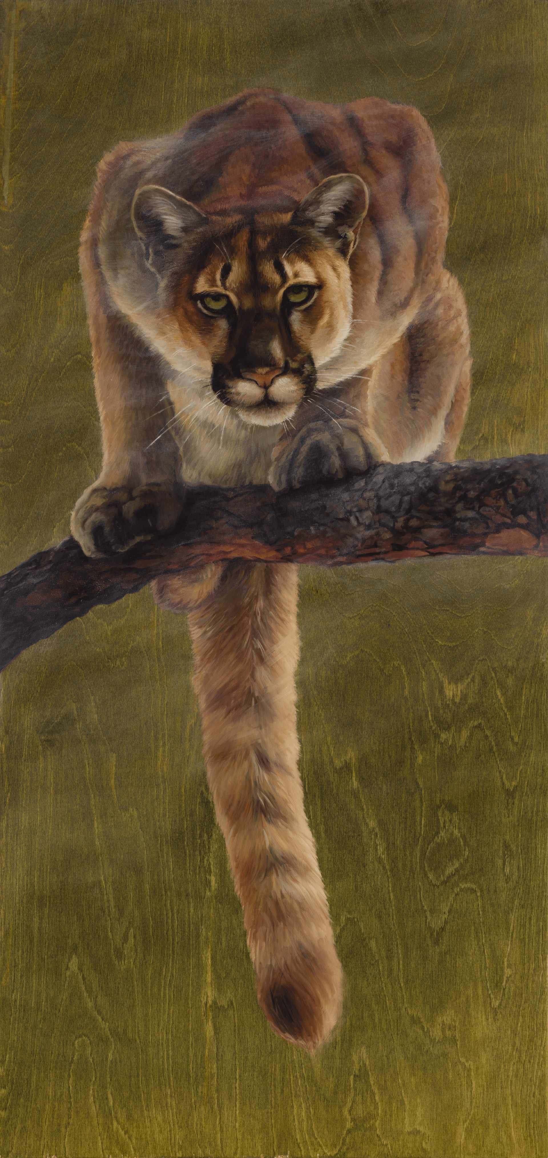 Silent Hunter by Terra Novak, 2025