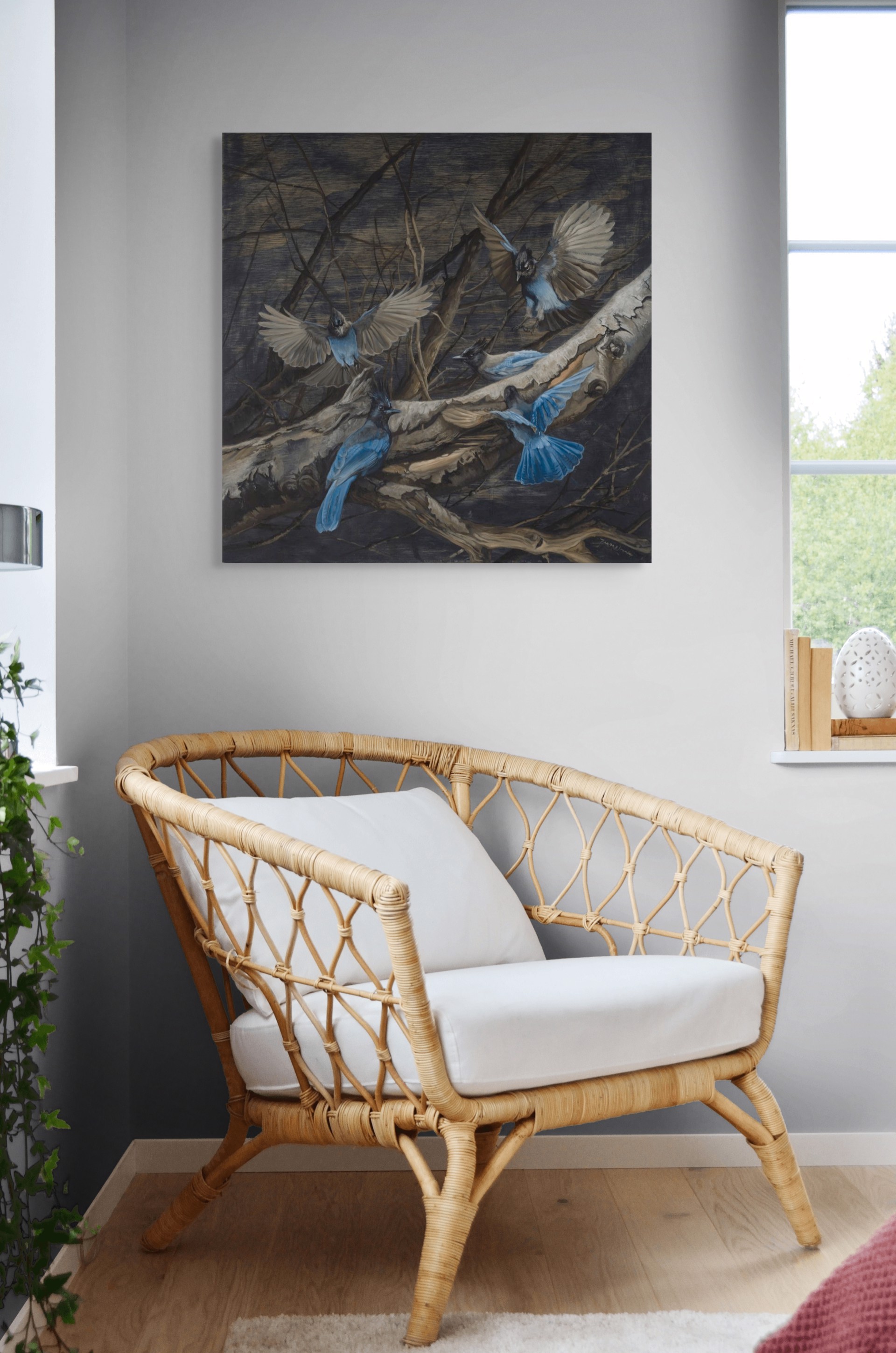 Stellar Jays on Birch