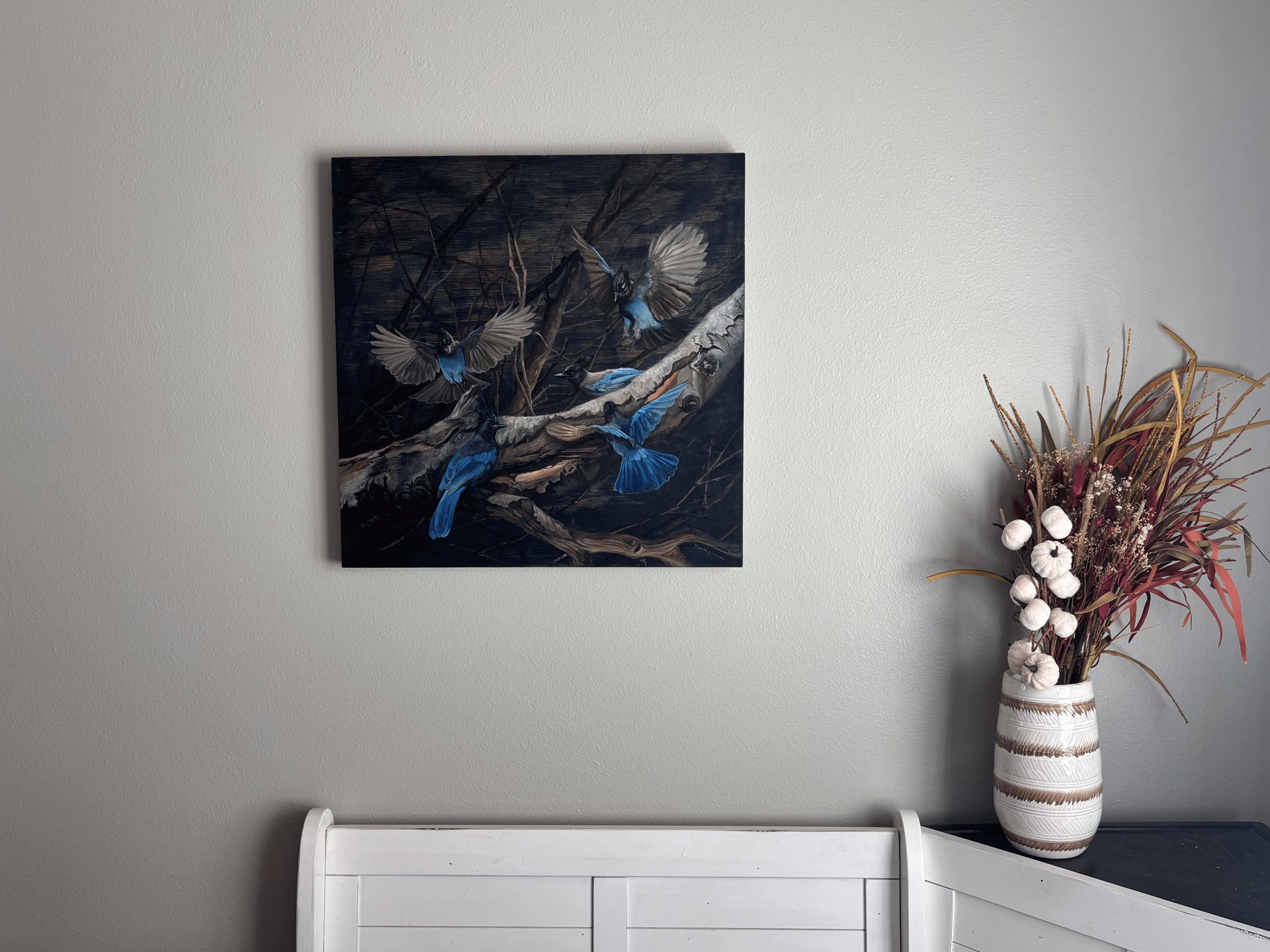 Stellar Jays on Birch