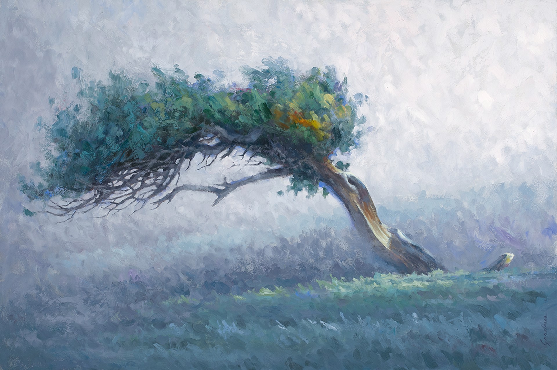 Above It All by Terry Gardner, 2026