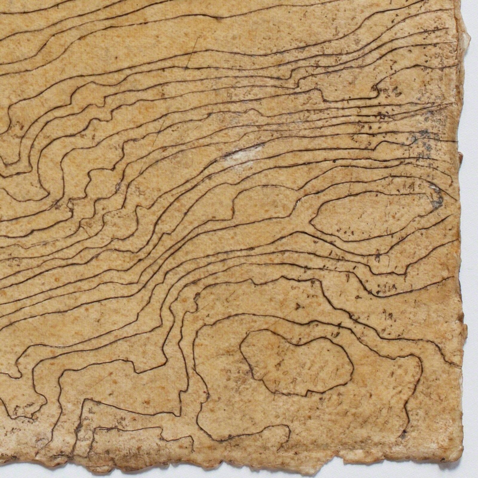 Artwork by Tessa Grundon, Contour Series - Wave Hill, Made of Hand Made Paper, Wax, Earths 