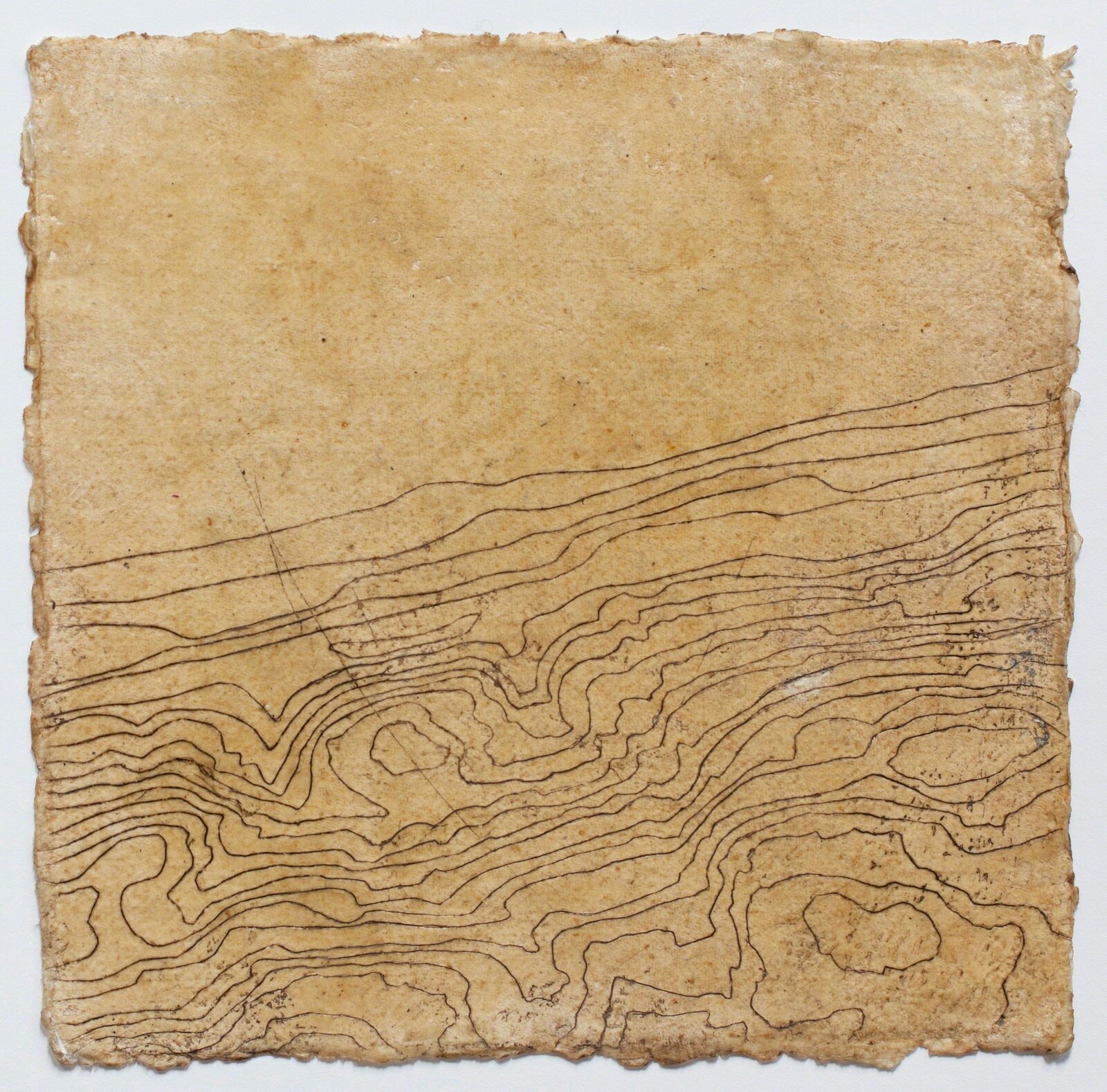 Contour Series - Wave Hill by Tessa Grundon, 2014