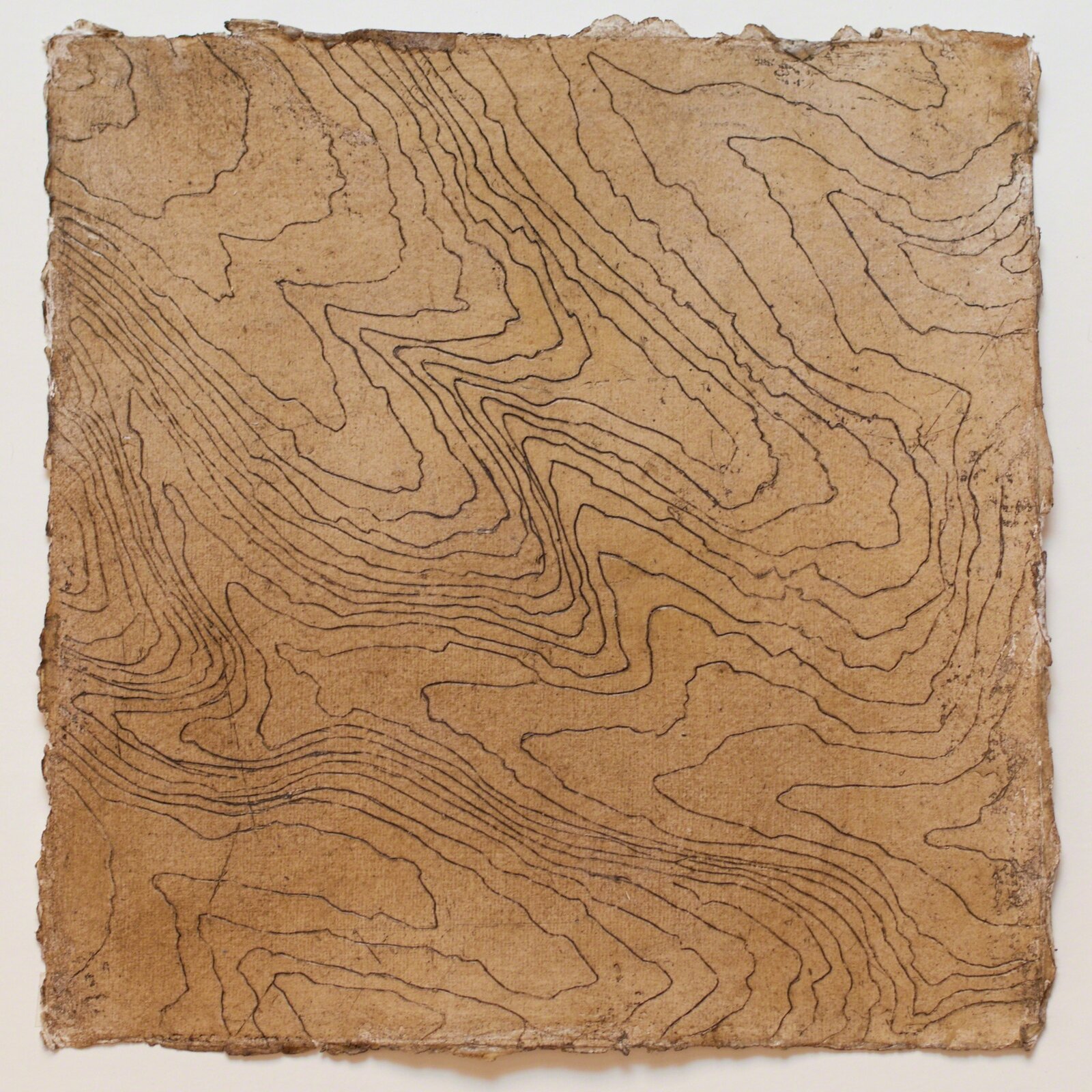 Contour Series - Wave Hill by Tessa Grundon, 2015