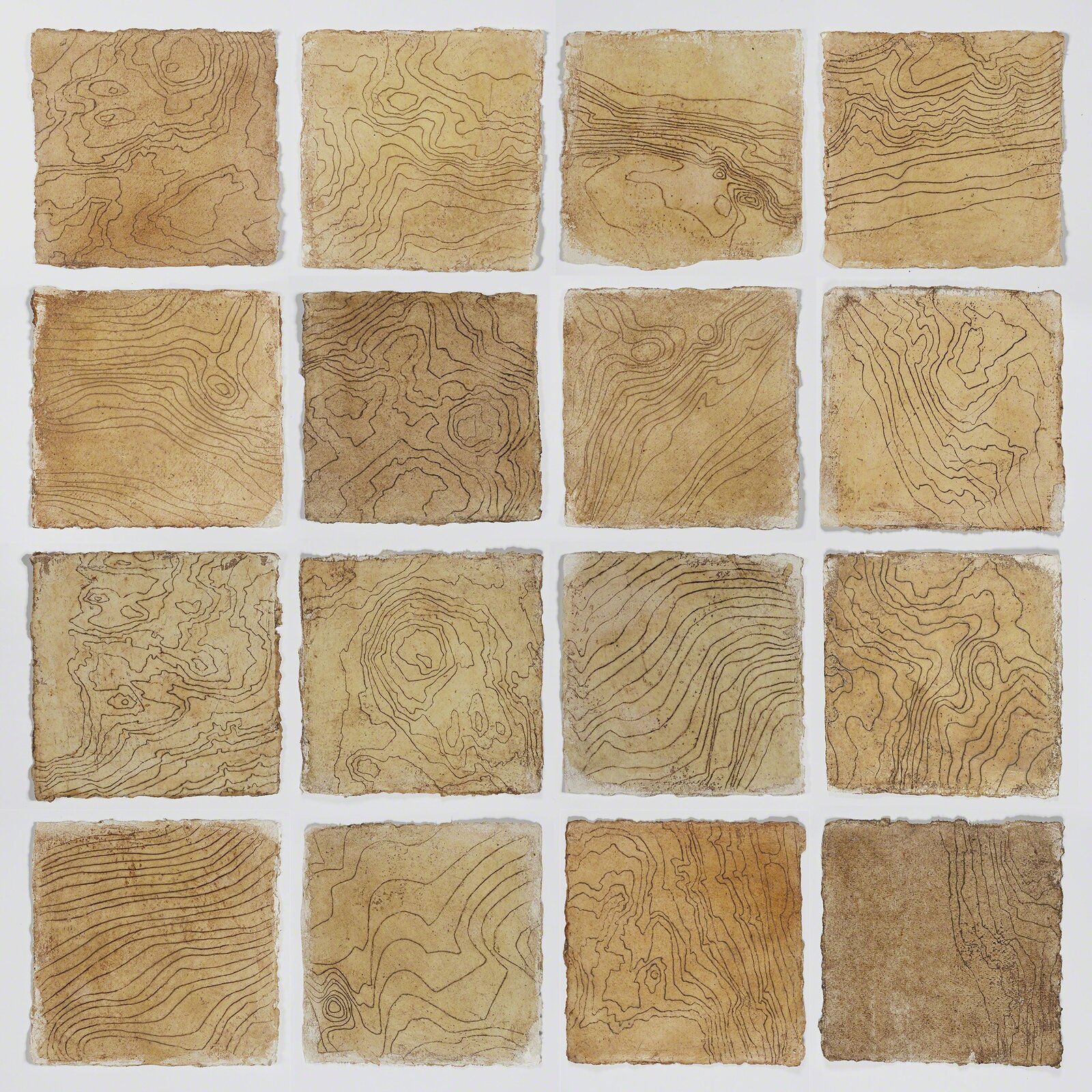 Wave Hill - Contours in 16 Parts by Tessa Grundon, 2013