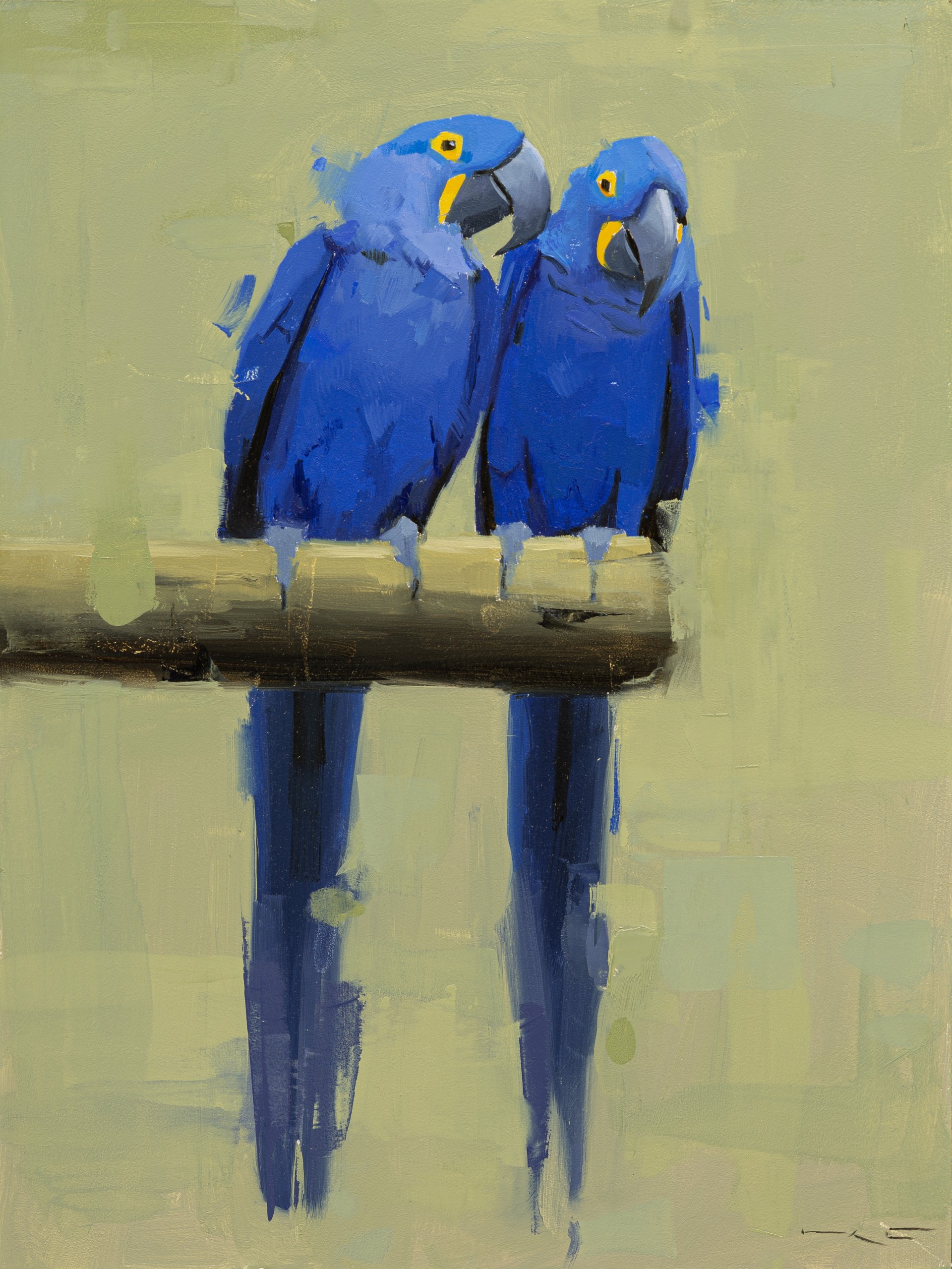 Two vivid blue parrots perch on a branch, their reflections mirrored in the water below.