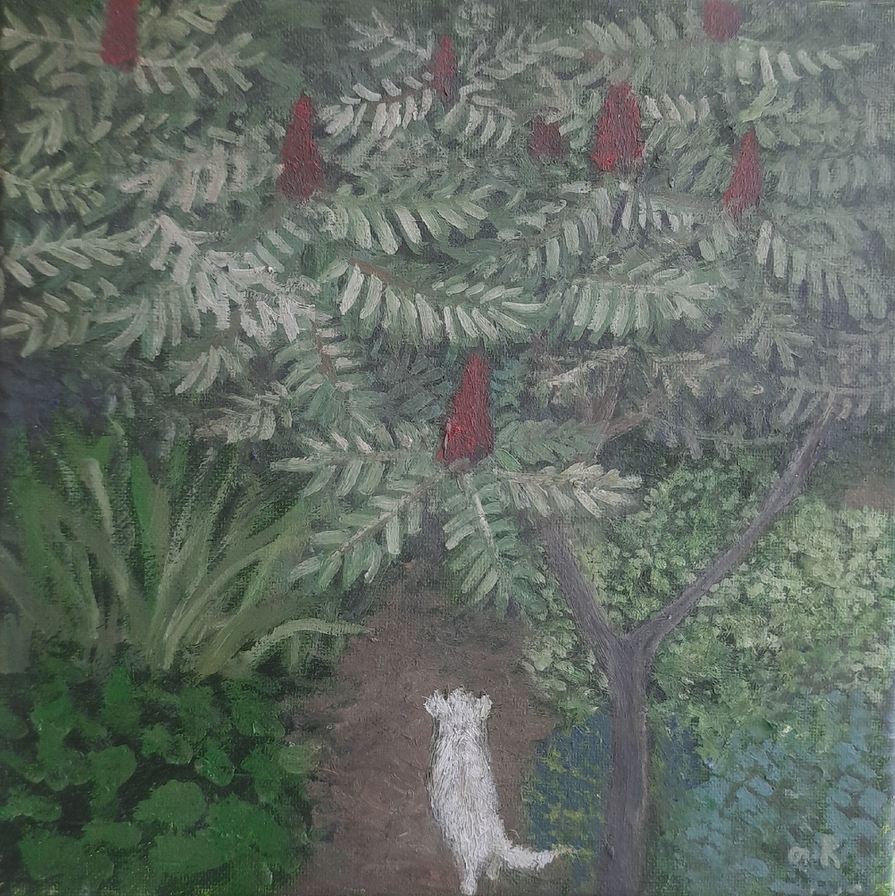 Sumac Tree and the White Dog