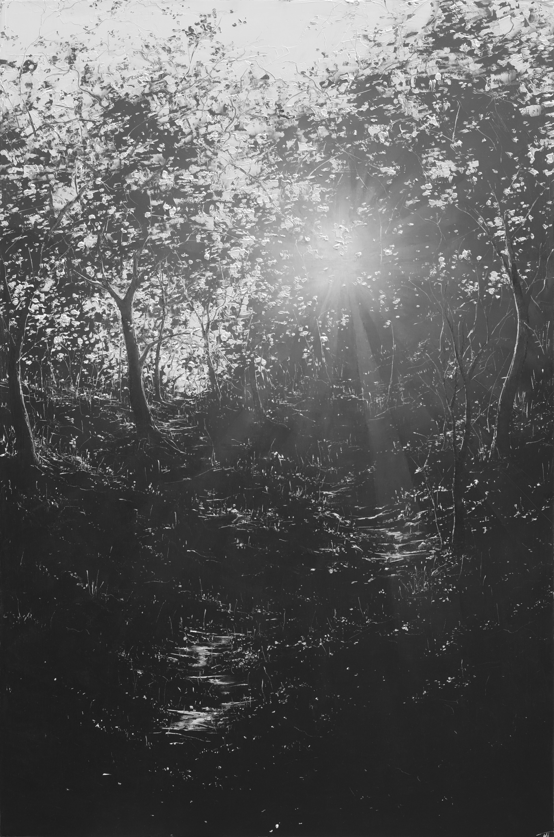 A black and white photo of the sun shining through the trees.