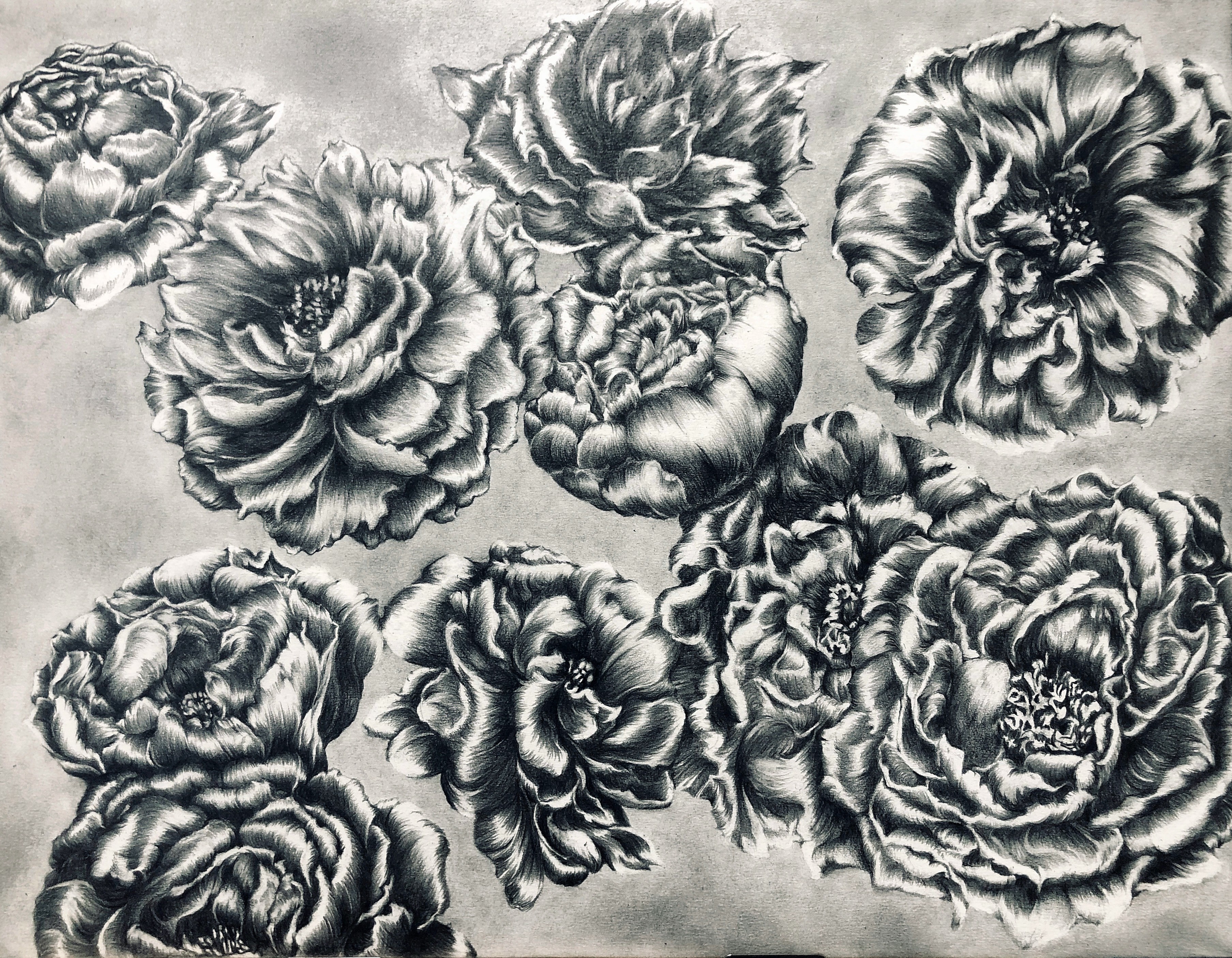 Peony by Tomo Sakurai, 2020