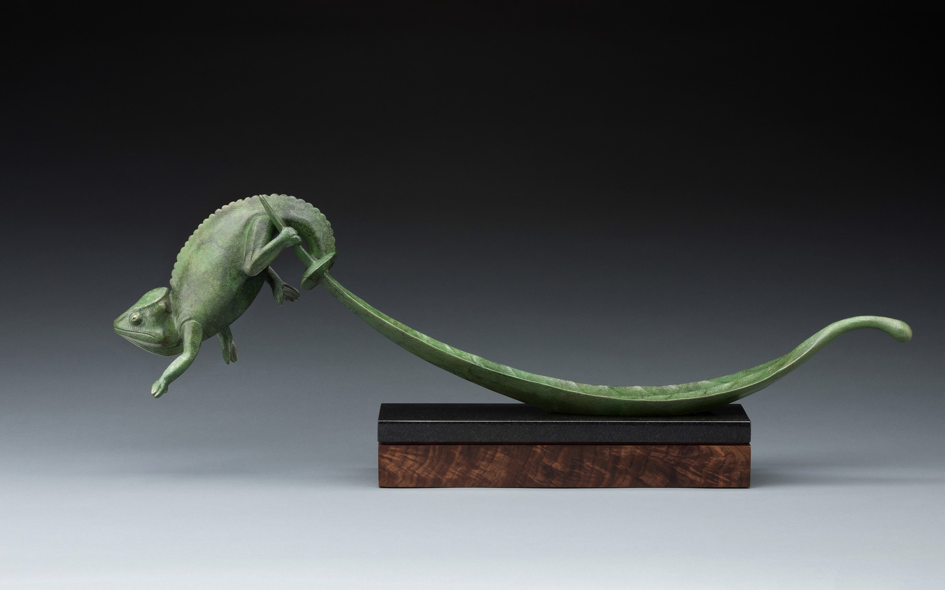 Chameleon and Leaf by Tony Hochstetler, 2025