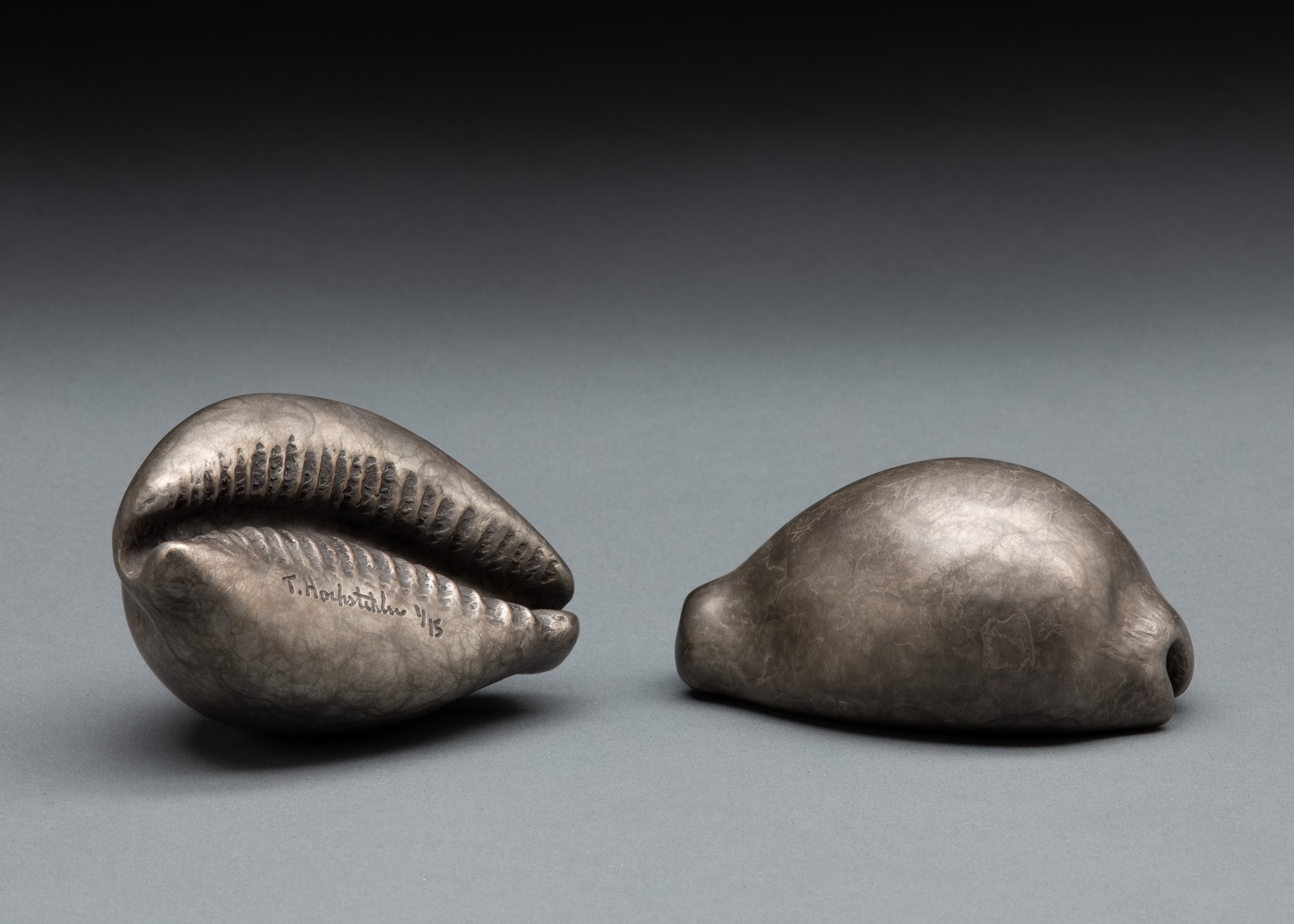 A pair of silver shells on a gray surface.