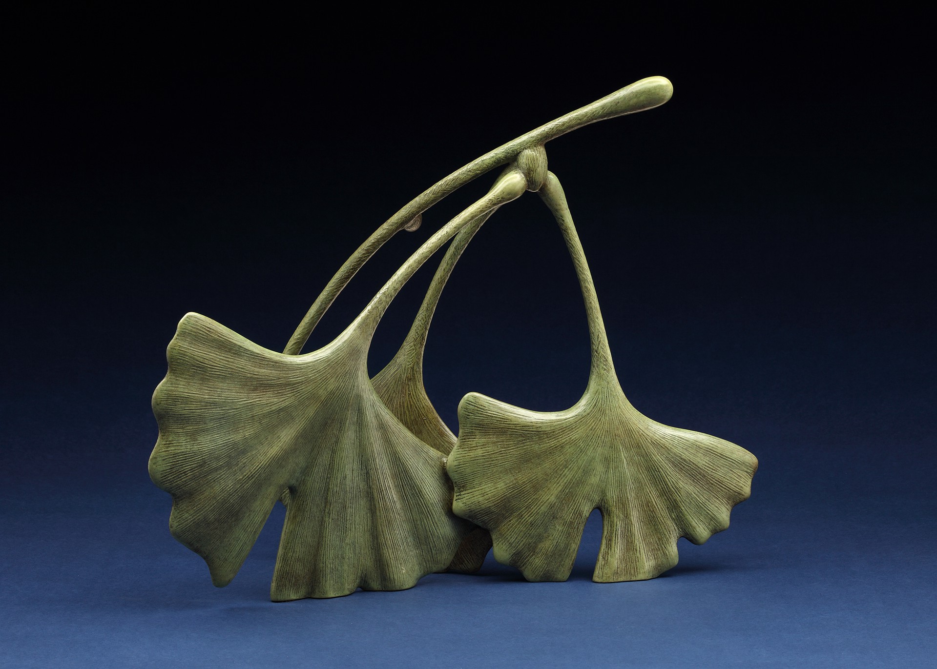 Ginkgo Leaves, Large by Tony Hochstetler, 2014