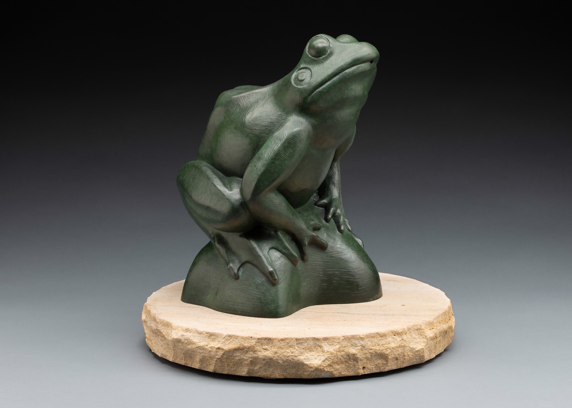 A green frog sitting on top of a rock.