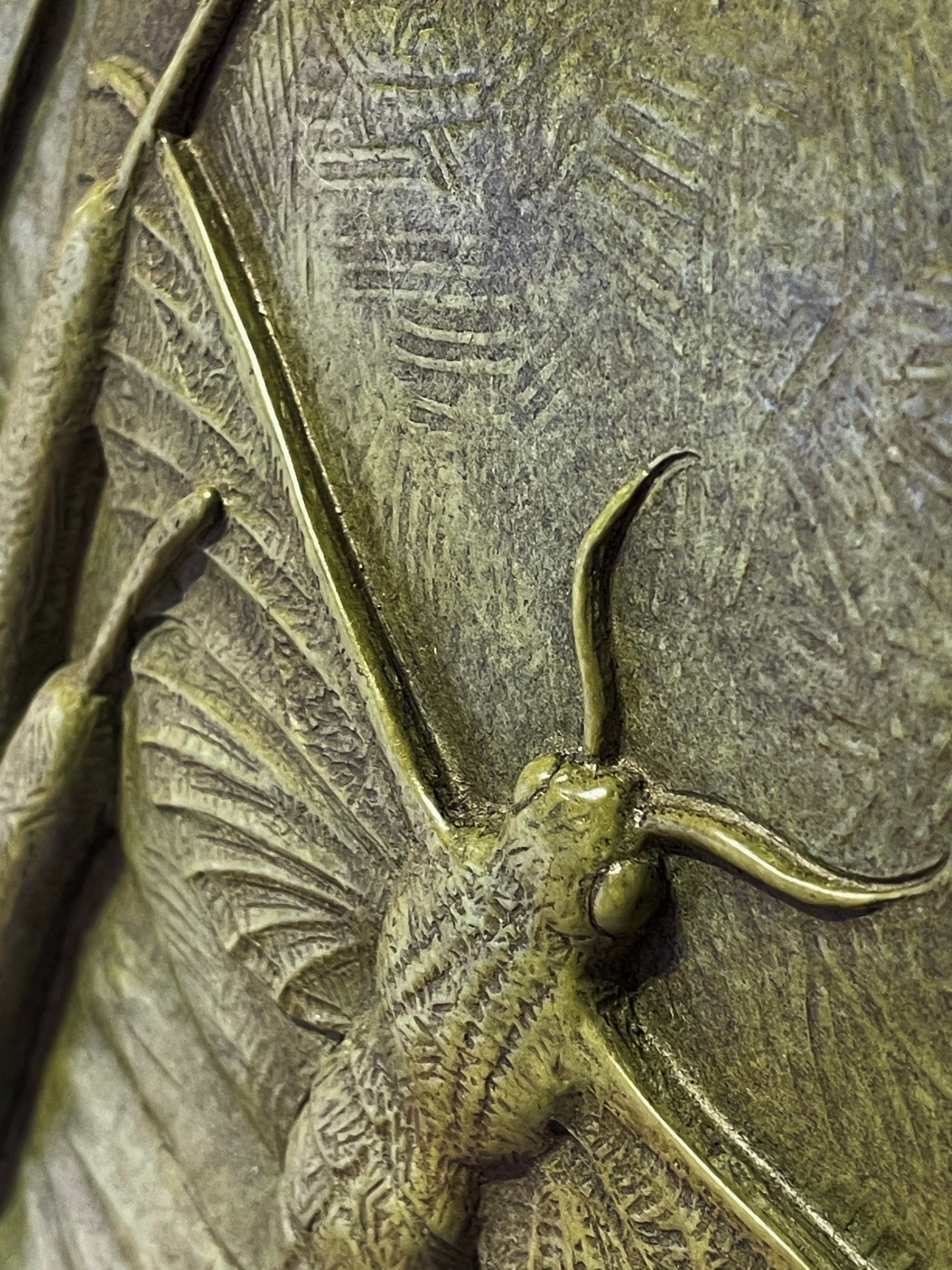 A relief sculpture of a moth and cattails in a wooden frame.