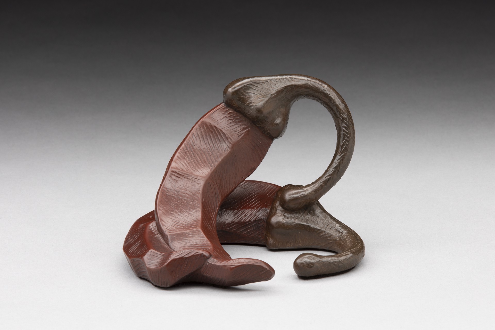 A wooden sculpture of a snake on a white surface.