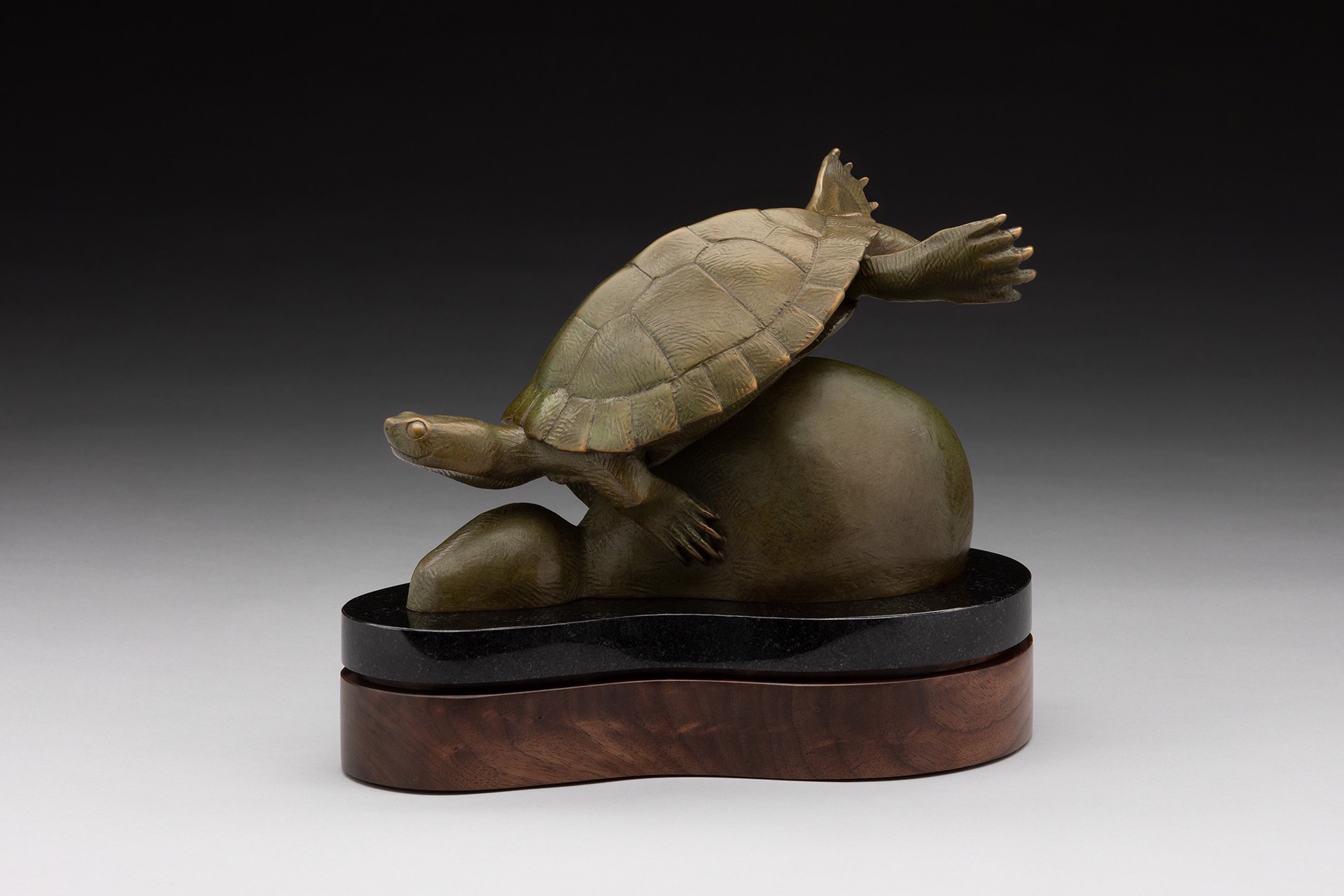 Workin' On My Tan by Tony Hochstetler, 2025