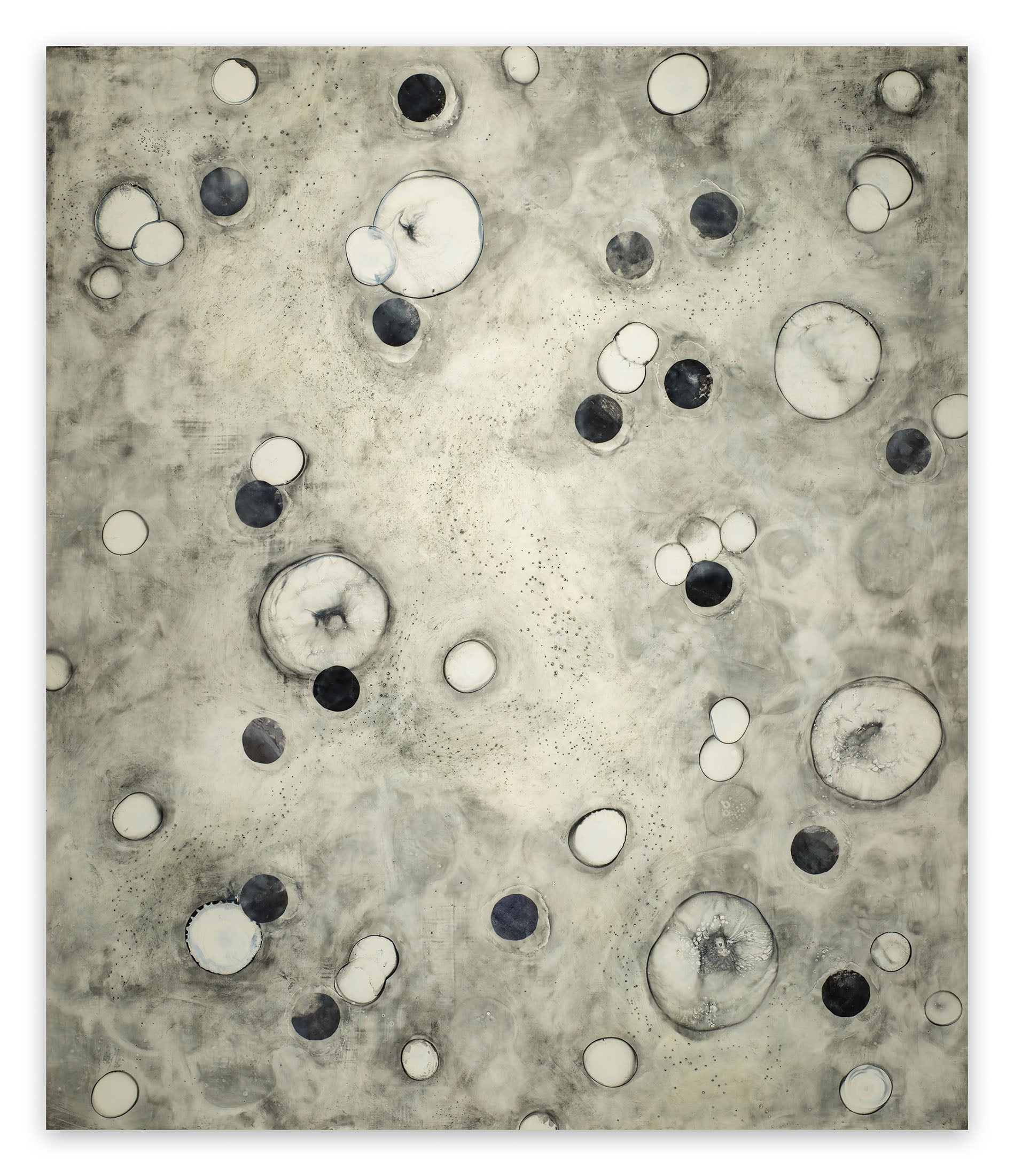 (r) evolution 28 by Tracey Adams, 2014