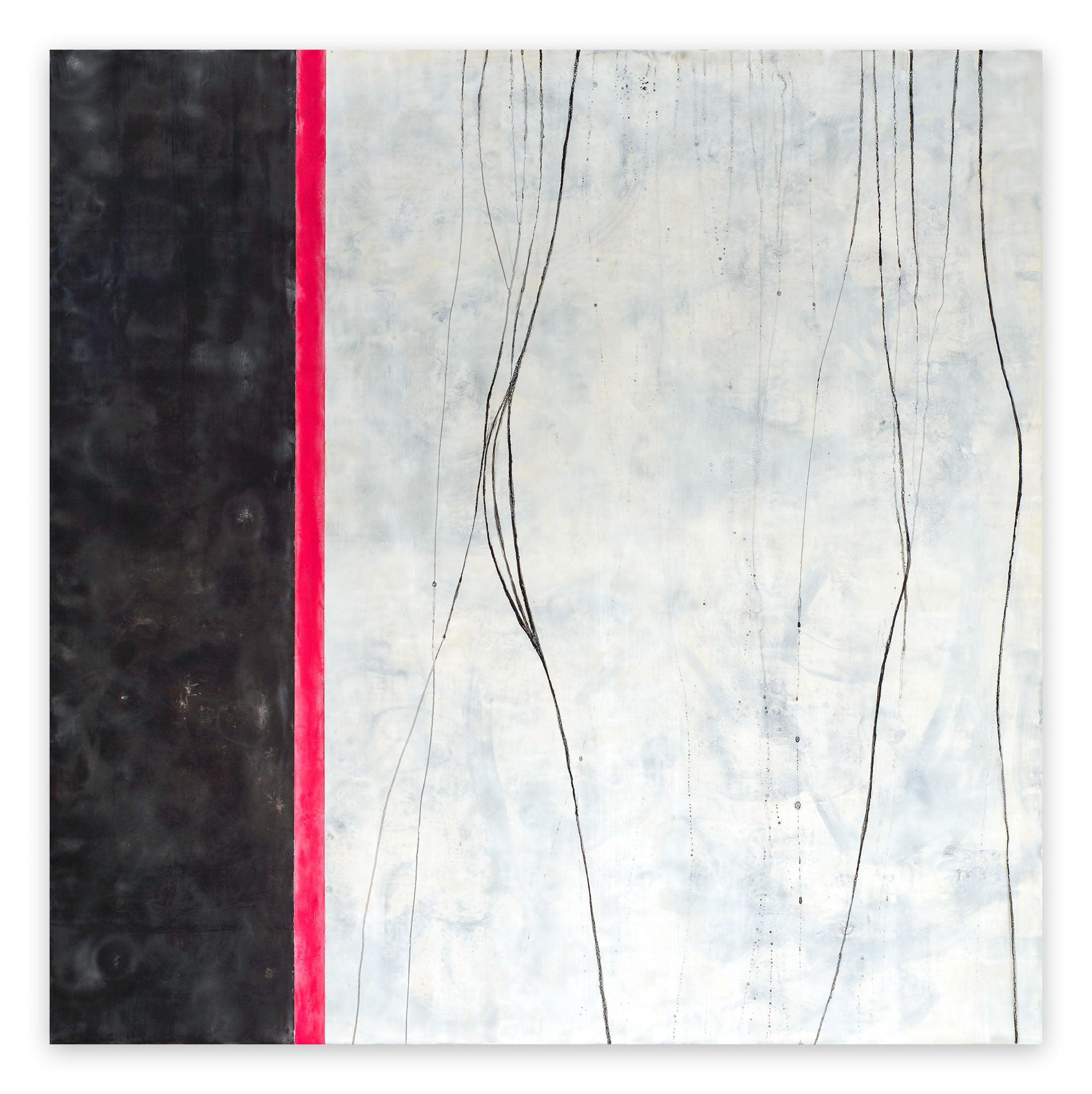 Why I wake early by Tracey Adams, 2017